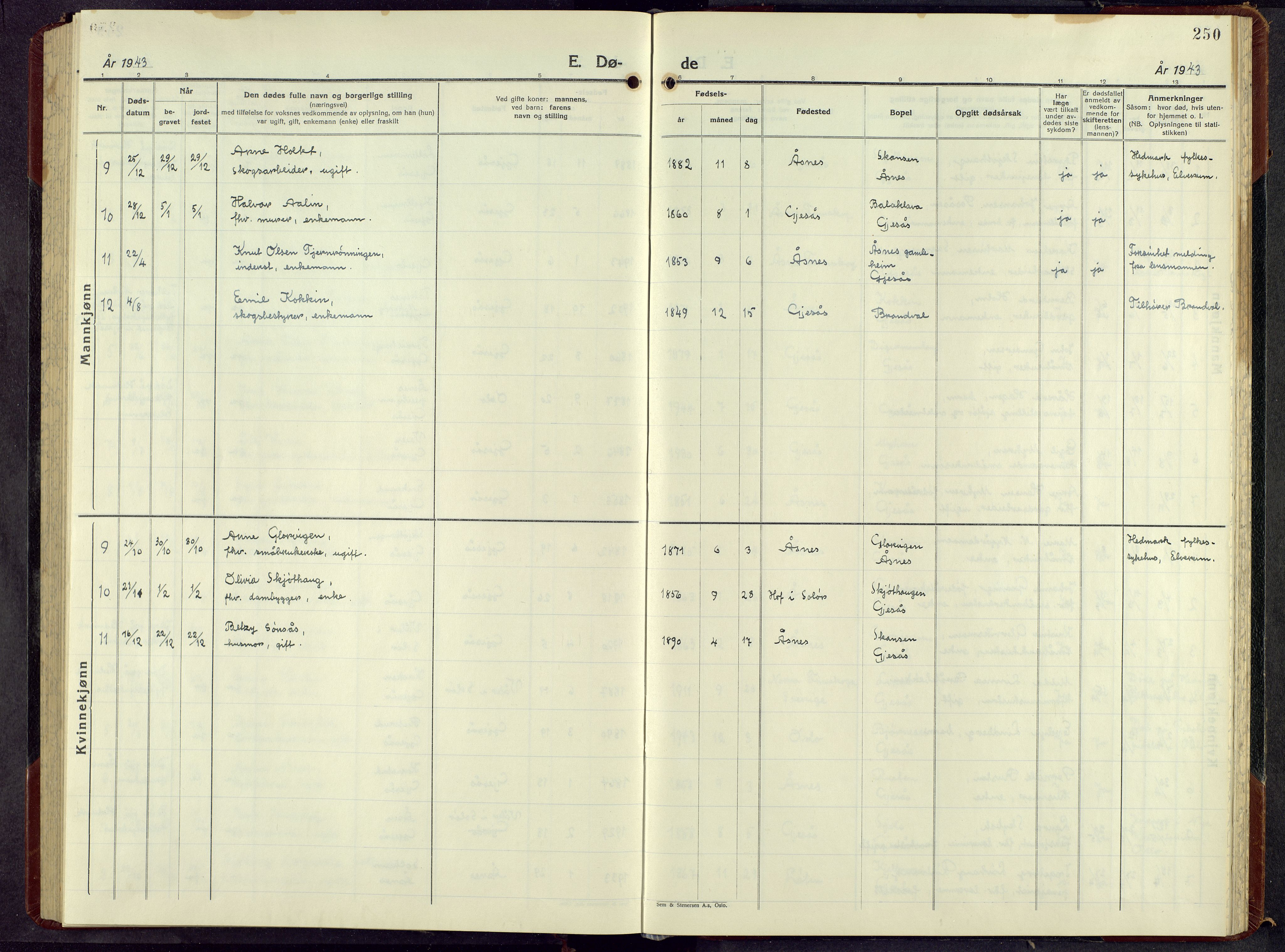 Åsnes prestekontor, AV/SAH-PREST-042/H/Ha/Hab/L0013: Parish register (copy) no. 13, 1943-1966, p. 250