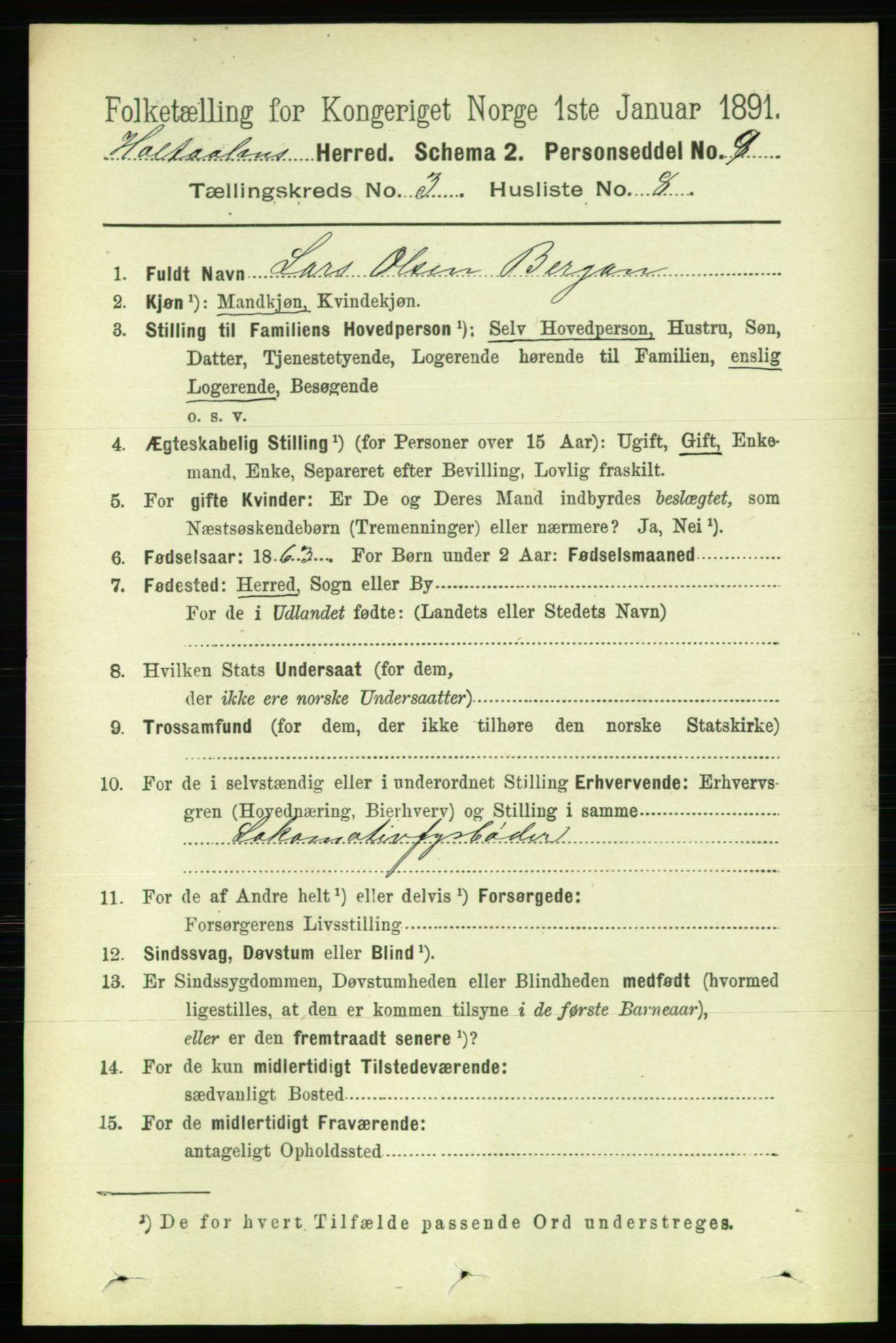 RA, 1891 census for 1645 Haltdalen, 1891, p. 896