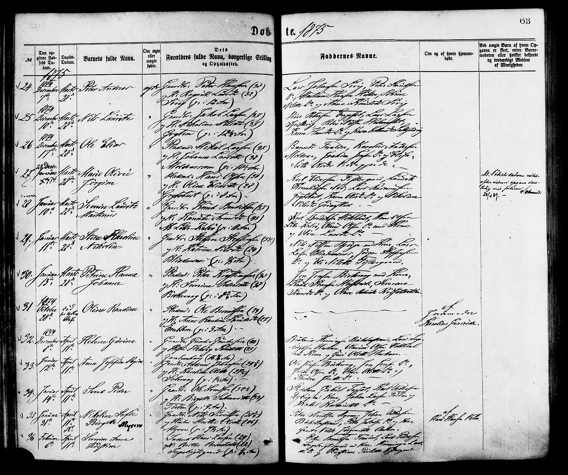 Ministerialprotokoller, klokkerbøker og fødselsregistre - Møre og Romsdal, AV/SAT-A-1454/528/L0400: Parish register (official) no. 528A11, 1871-1879, p. 63