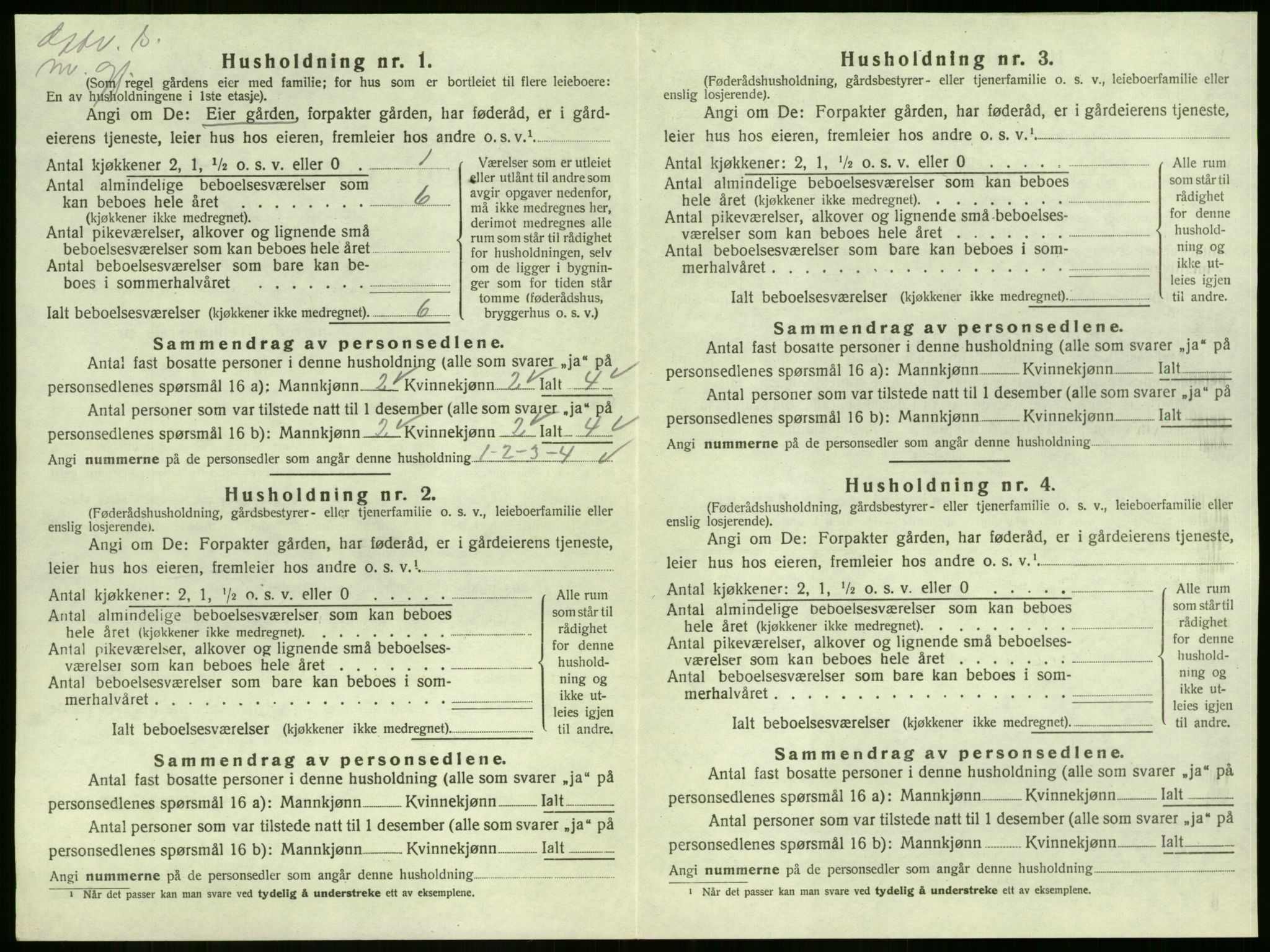 SAKO, 1920 census for Strømm, 1920, p. 421