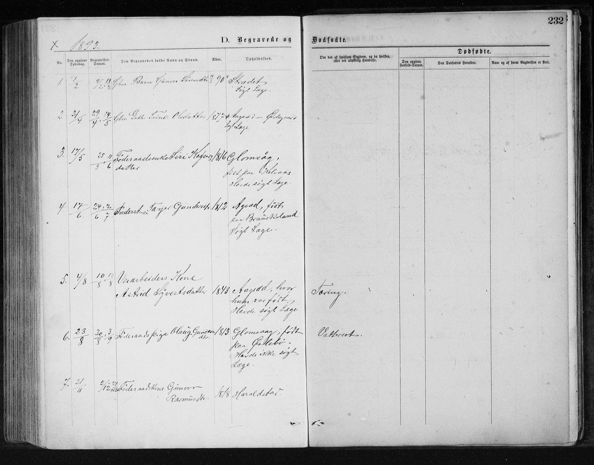 Holum sokneprestkontor, SAK/1111-0022/F/Fb/Fbb/L0003: Parish register (copy) no. B 3, 1875-1898, p. 232