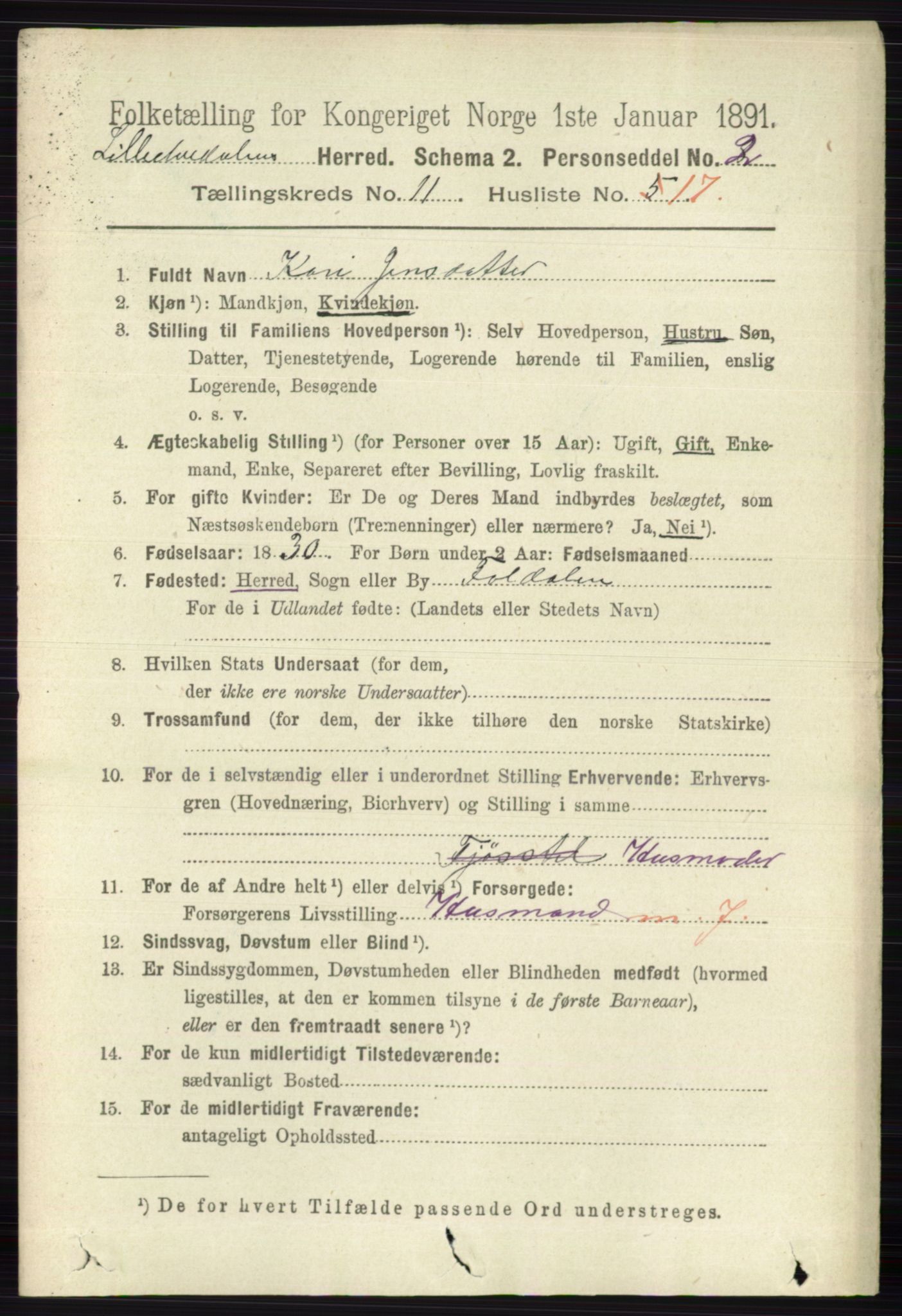 RA, 1891 census for 0438 Lille Elvedalen, 1891, p. 3905