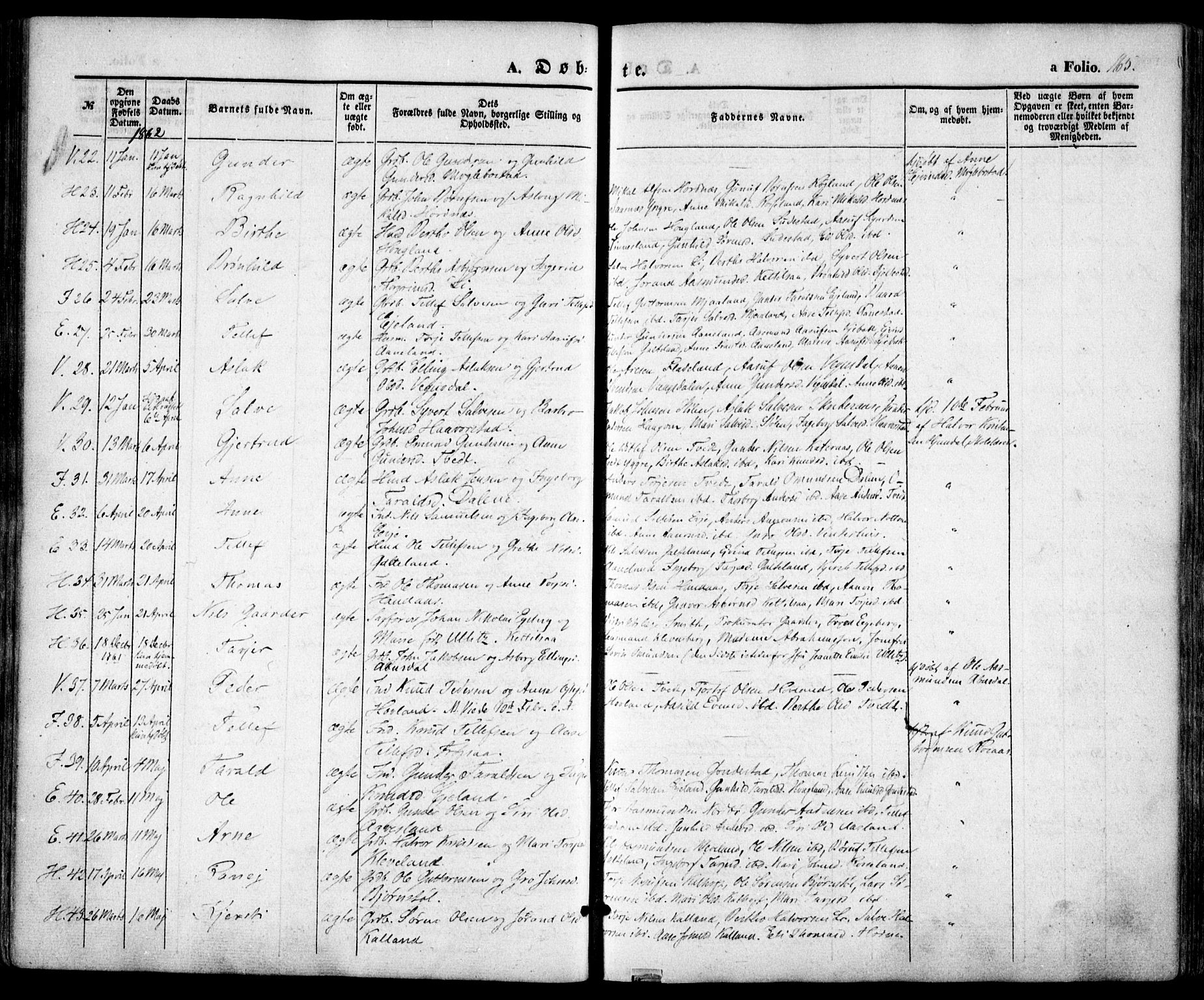 Evje sokneprestkontor, AV/SAK-1111-0008/F/Fa/Faa/L0005: Parish register (official) no. A 5, 1843-1865, p. 165