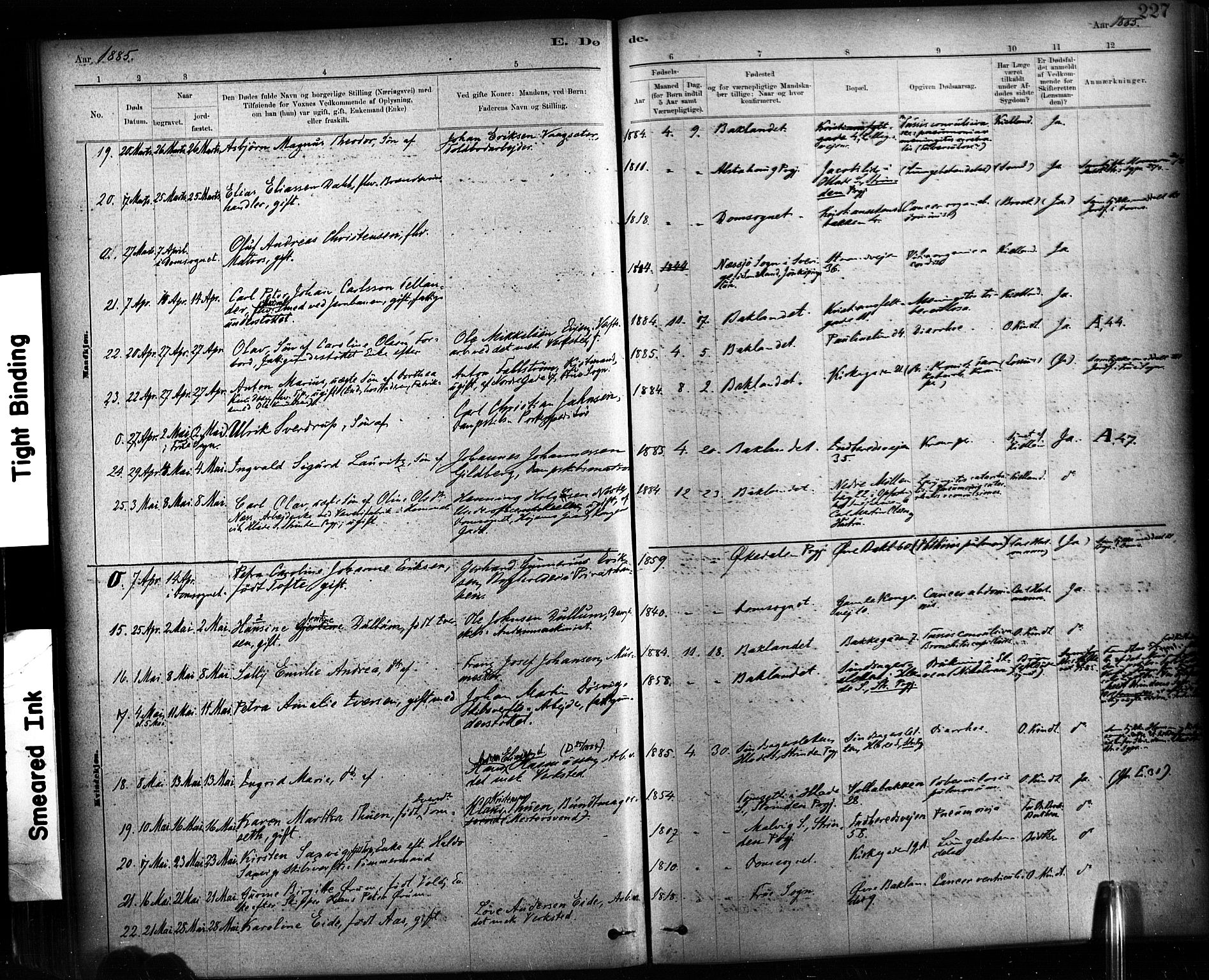 Ministerialprotokoller, klokkerbøker og fødselsregistre - Sør-Trøndelag, SAT/A-1456/604/L0189: Parish register (official) no. 604A10, 1878-1892, p. 227