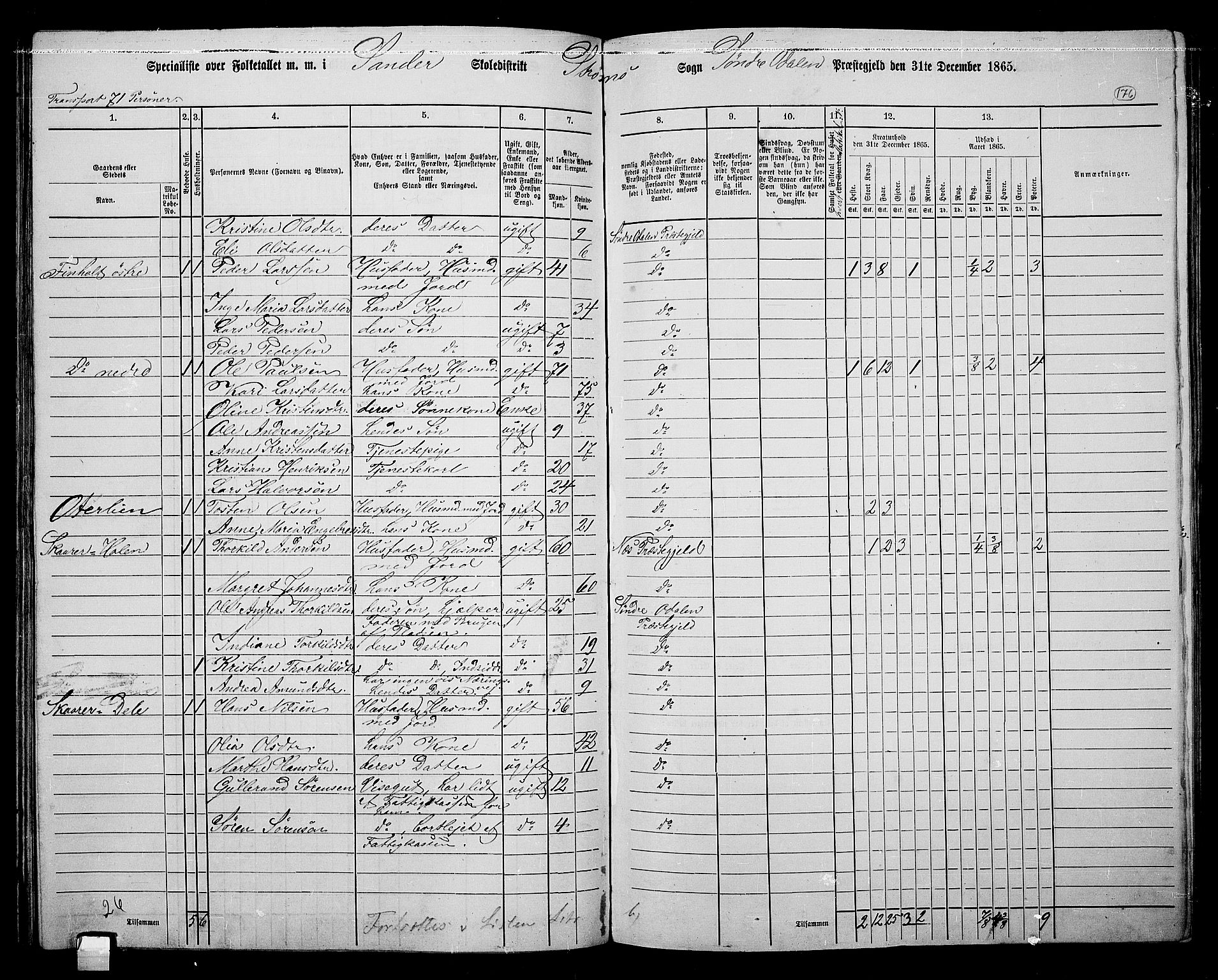 RA, 1865 census for Sør-Odal, 1865, p. 156