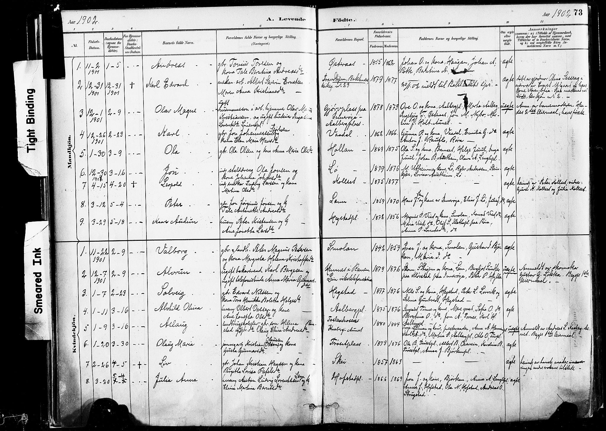 Ministerialprotokoller, klokkerbøker og fødselsregistre - Nord-Trøndelag, SAT/A-1458/735/L0351: Parish register (official) no. 735A10, 1884-1908, p. 73