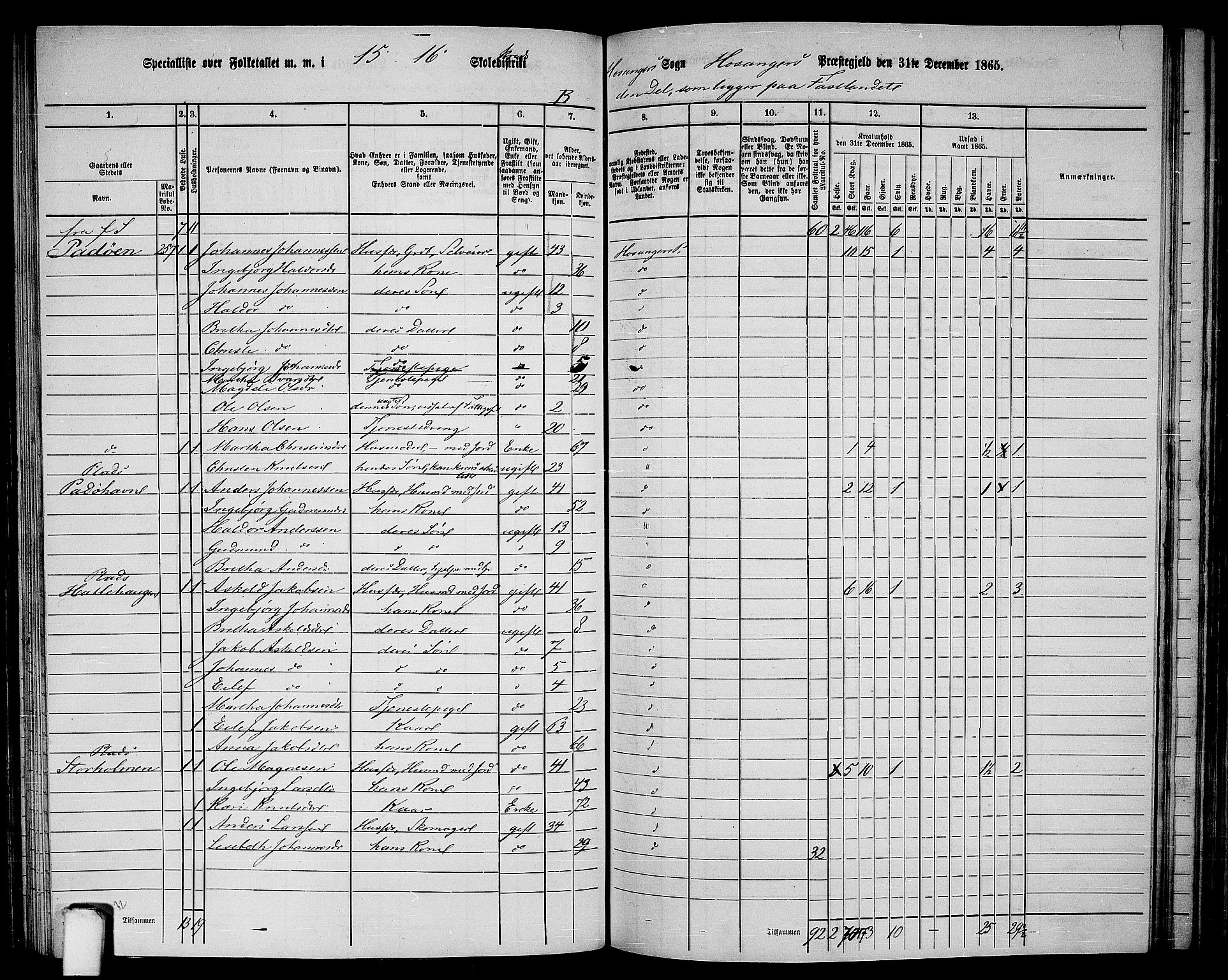 RA, 1865 census for Hosanger, 1865, p. 101