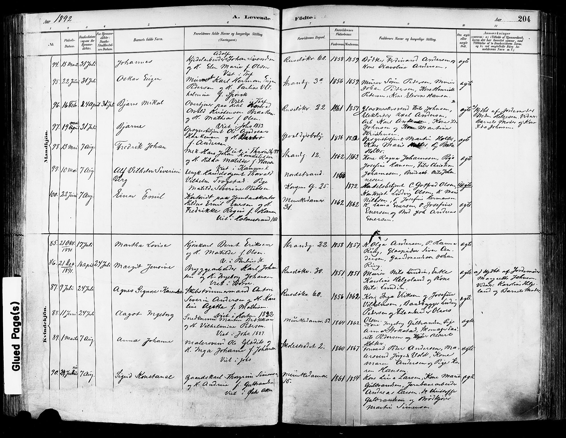 Johannes prestekontor Kirkebøker, SAO/A-10852/F/Fa/L0003: Parish register (official) no. 3, 1882-1896, p. 204