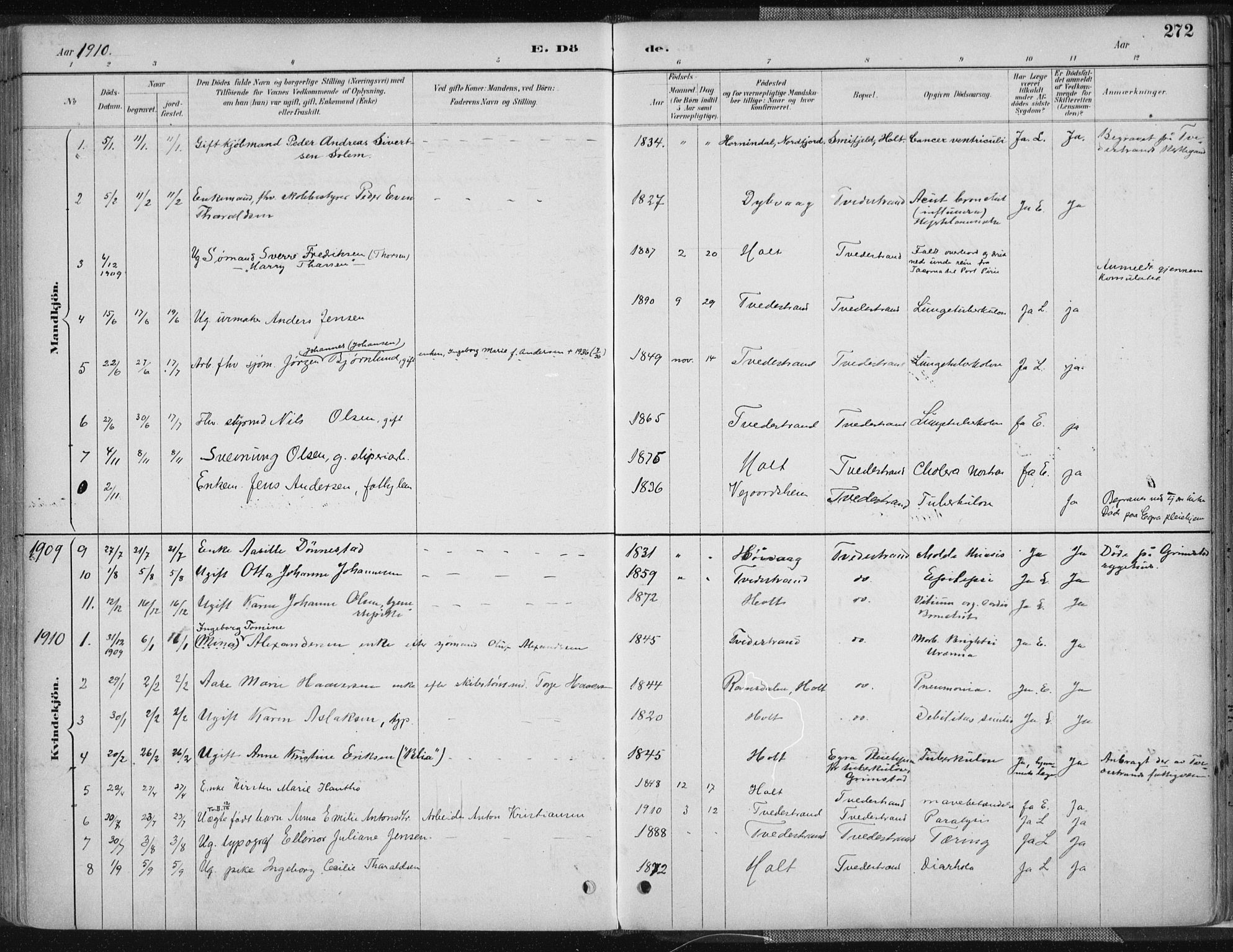 Tvedestrand sokneprestkontor, SAK/1111-0042/F/Fa/L0001: Parish register (official) no. A 1, 1885-1916, p. 272