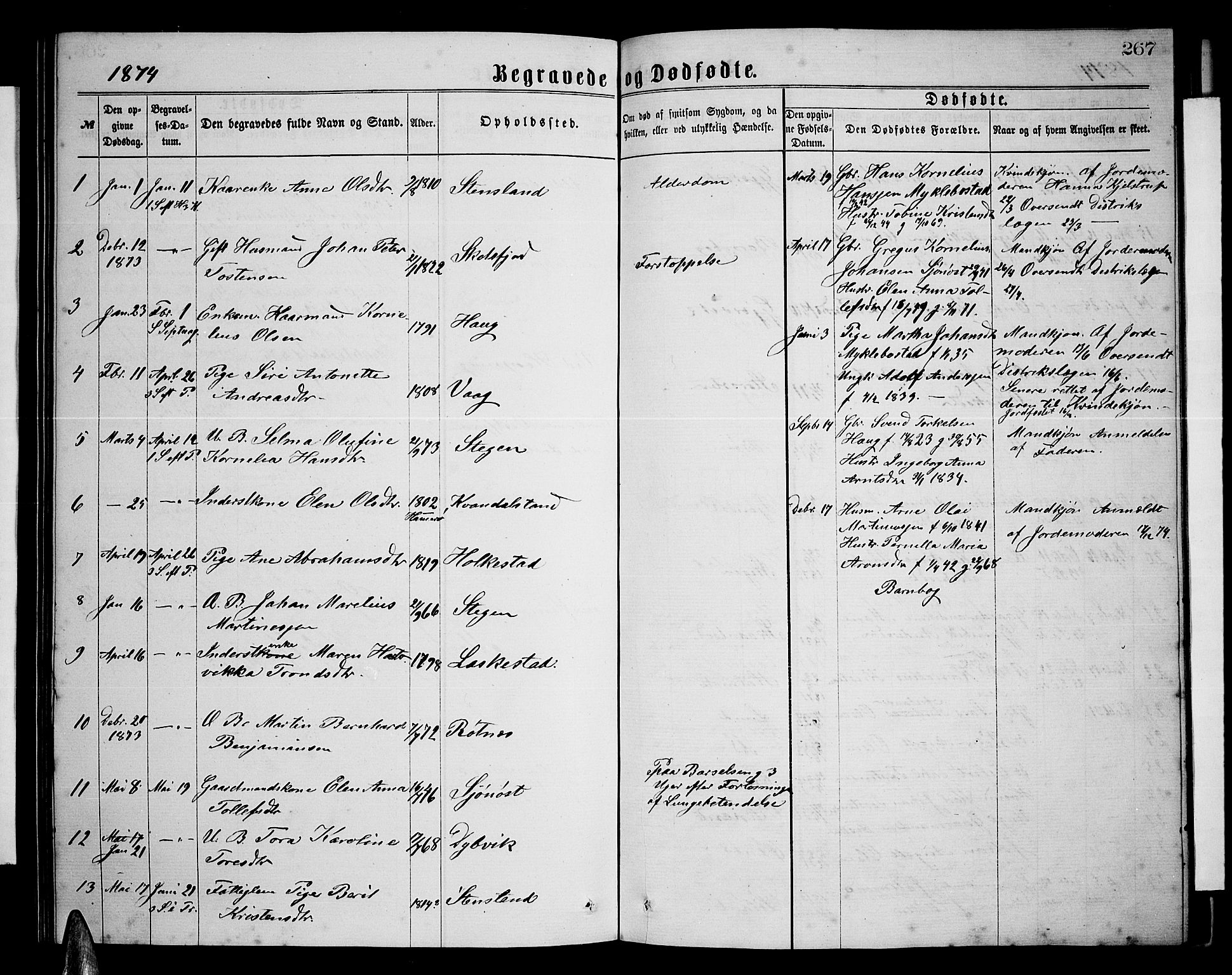 Ministerialprotokoller, klokkerbøker og fødselsregistre - Nordland, AV/SAT-A-1459/855/L0815: Parish register (copy) no. 855C04, 1865-1878, p. 267