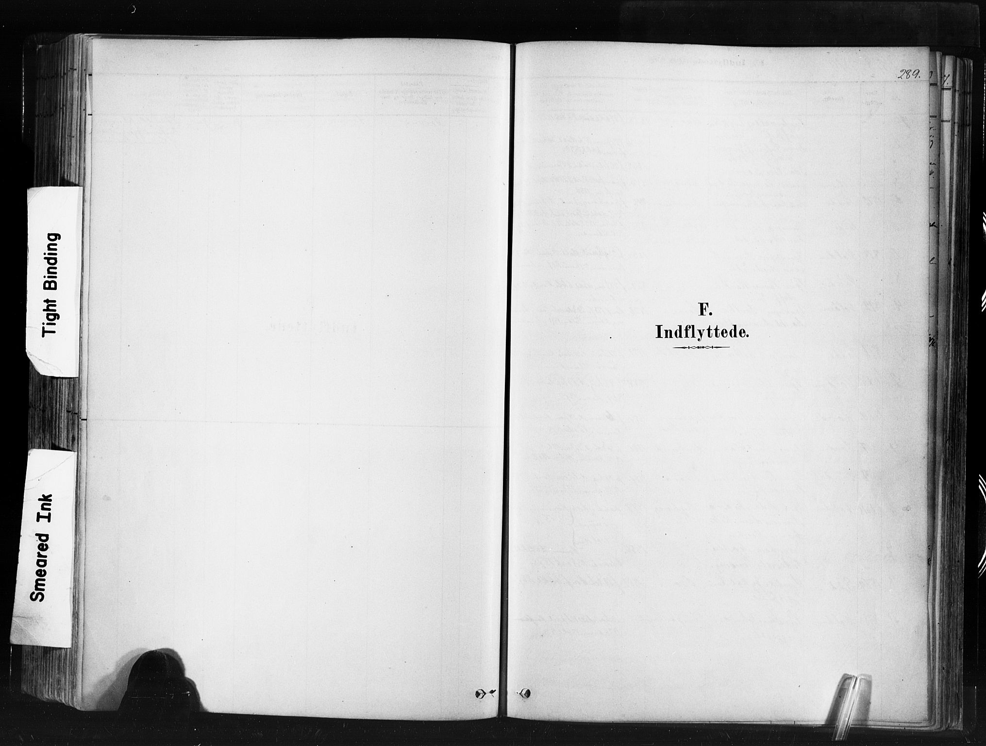 Ministerialprotokoller, klokkerbøker og fødselsregistre - Møre og Romsdal, AV/SAT-A-1454/507/L0073: Parish register (official) no. 507A08, 1878-1904, p. 289
