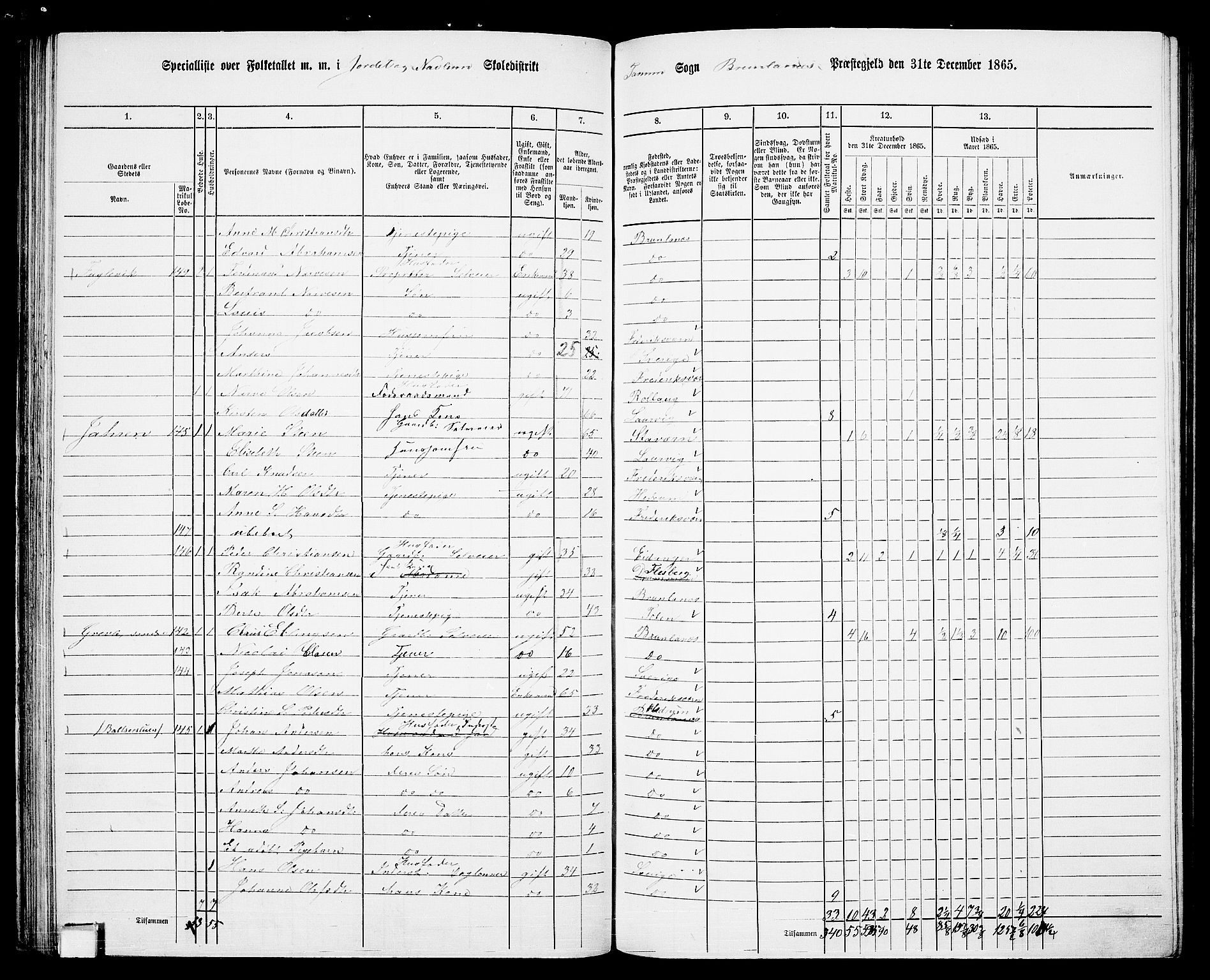 RA, 1865 census for Brunlanes, 1865, p. 79