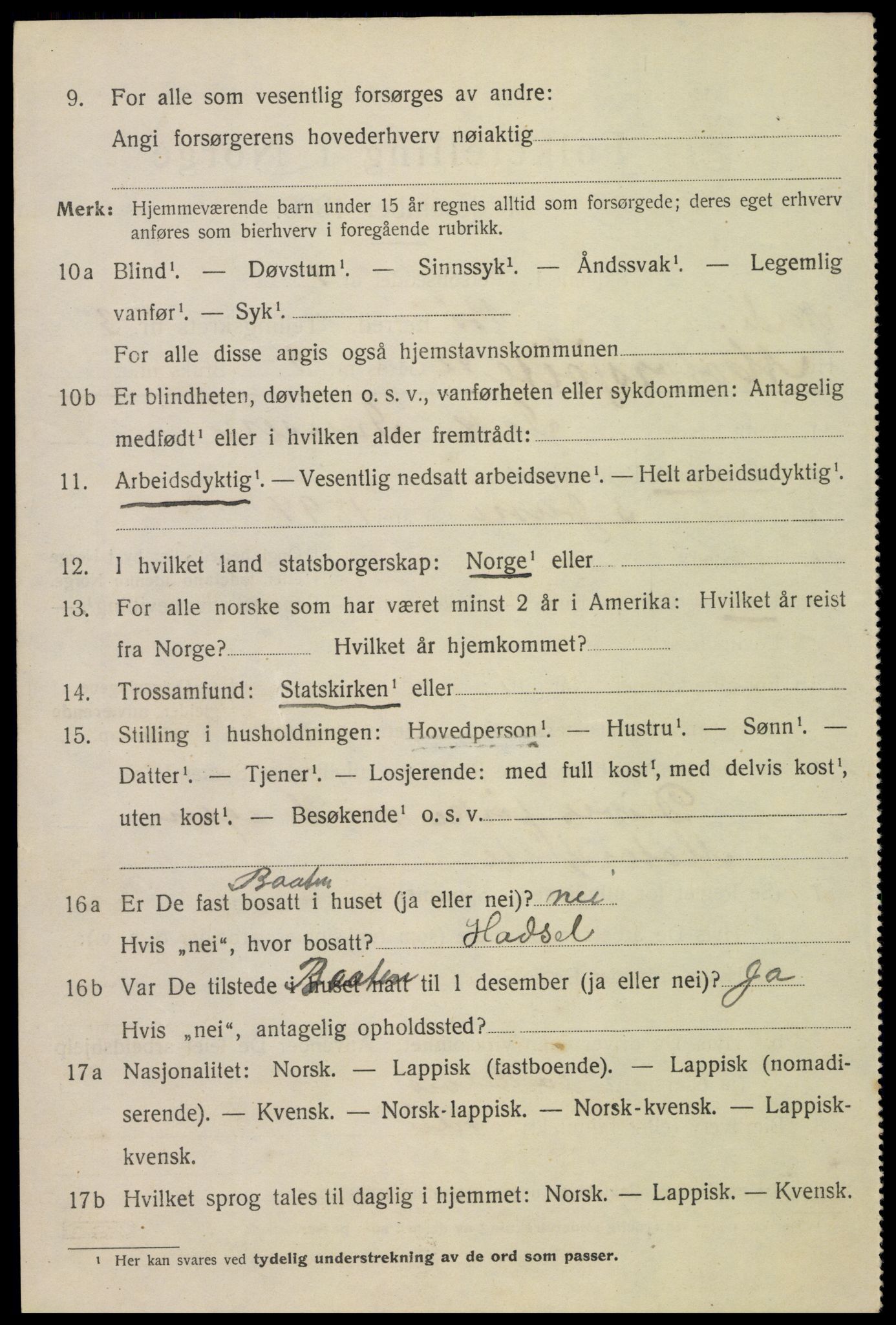 SAT, 1920 census for Bø, 1920, p. 3173