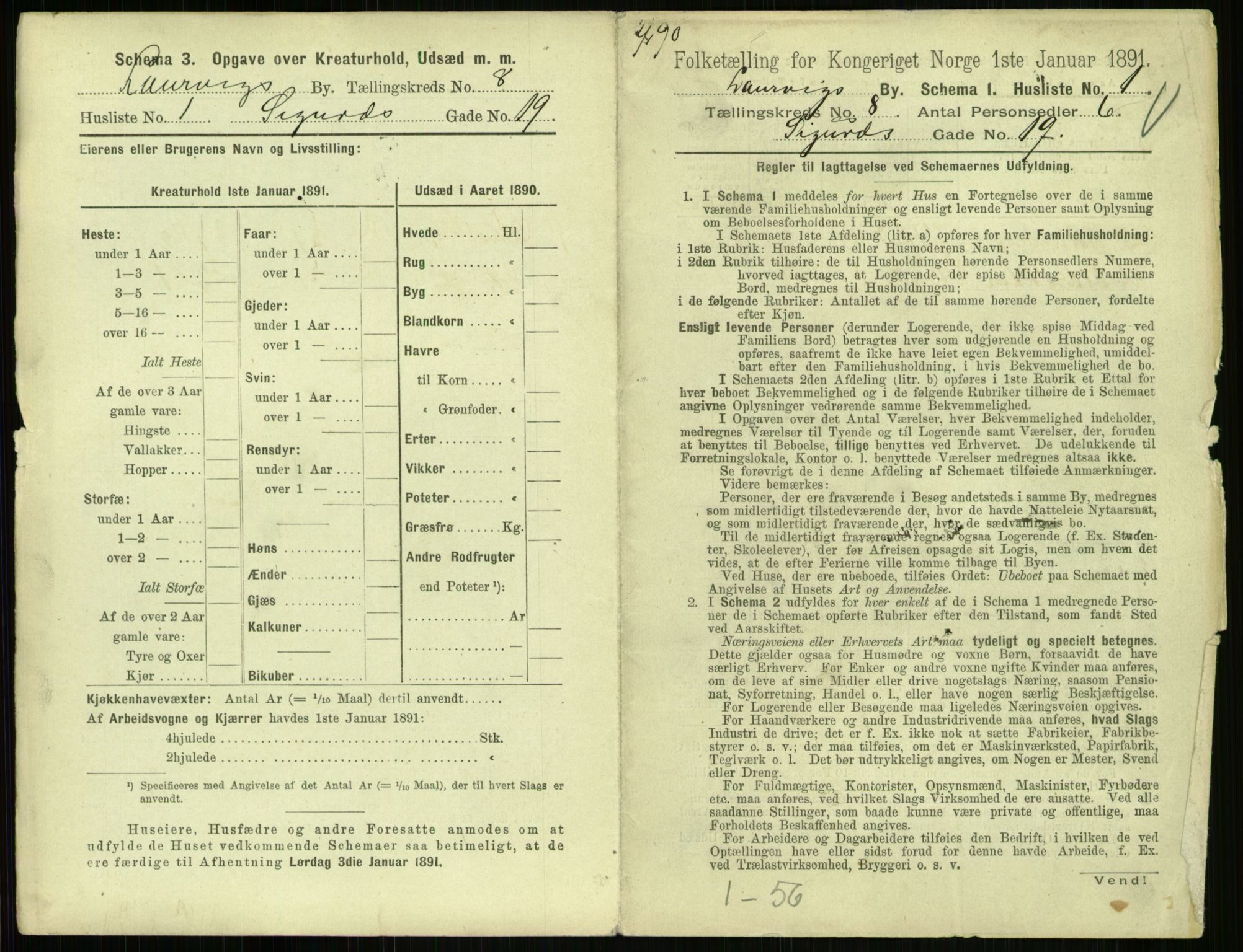 RA, 1891 census for 0707 Larvik, 1891, p. 1007