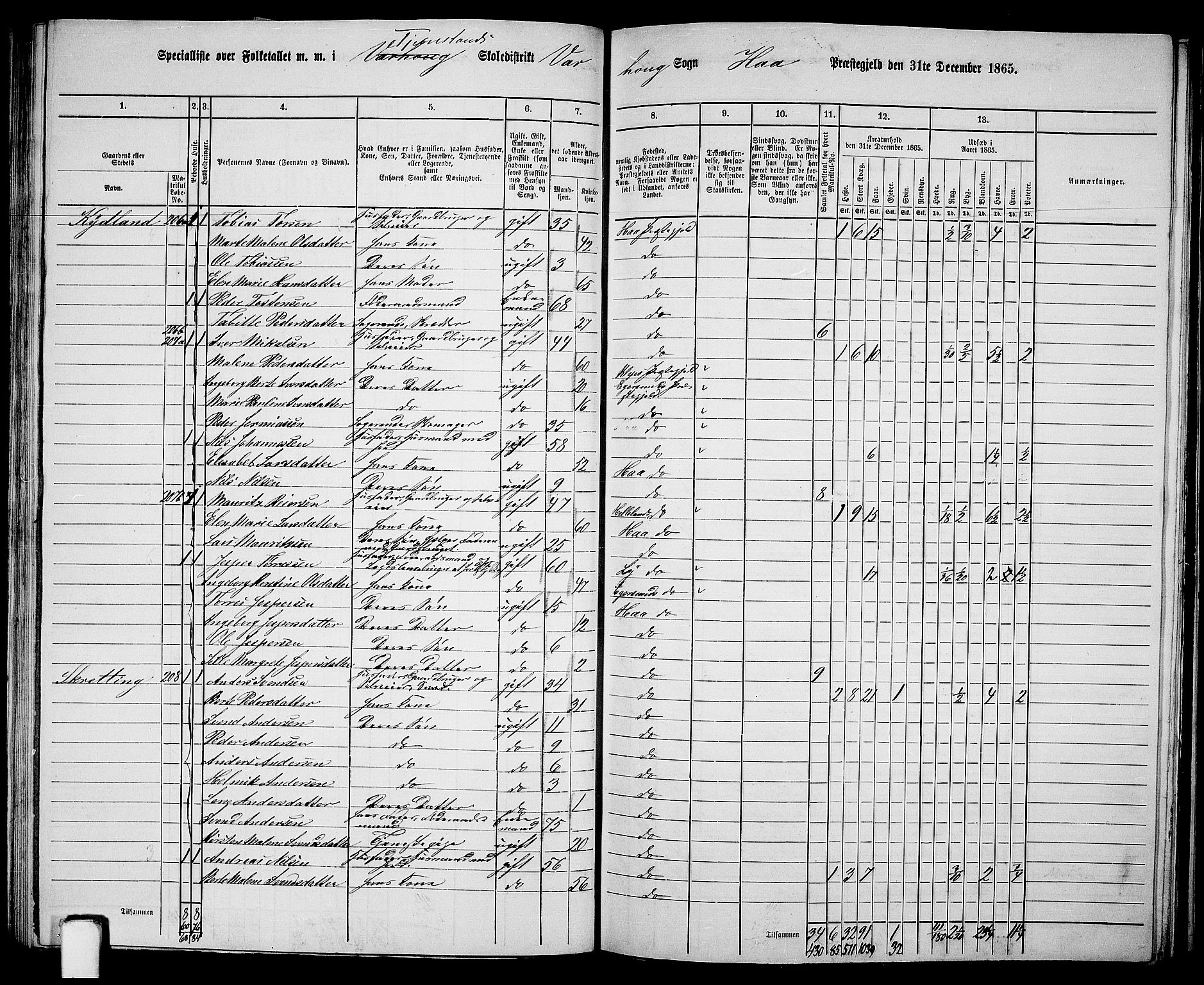 RA, 1865 census for Hå, 1865, p. 85