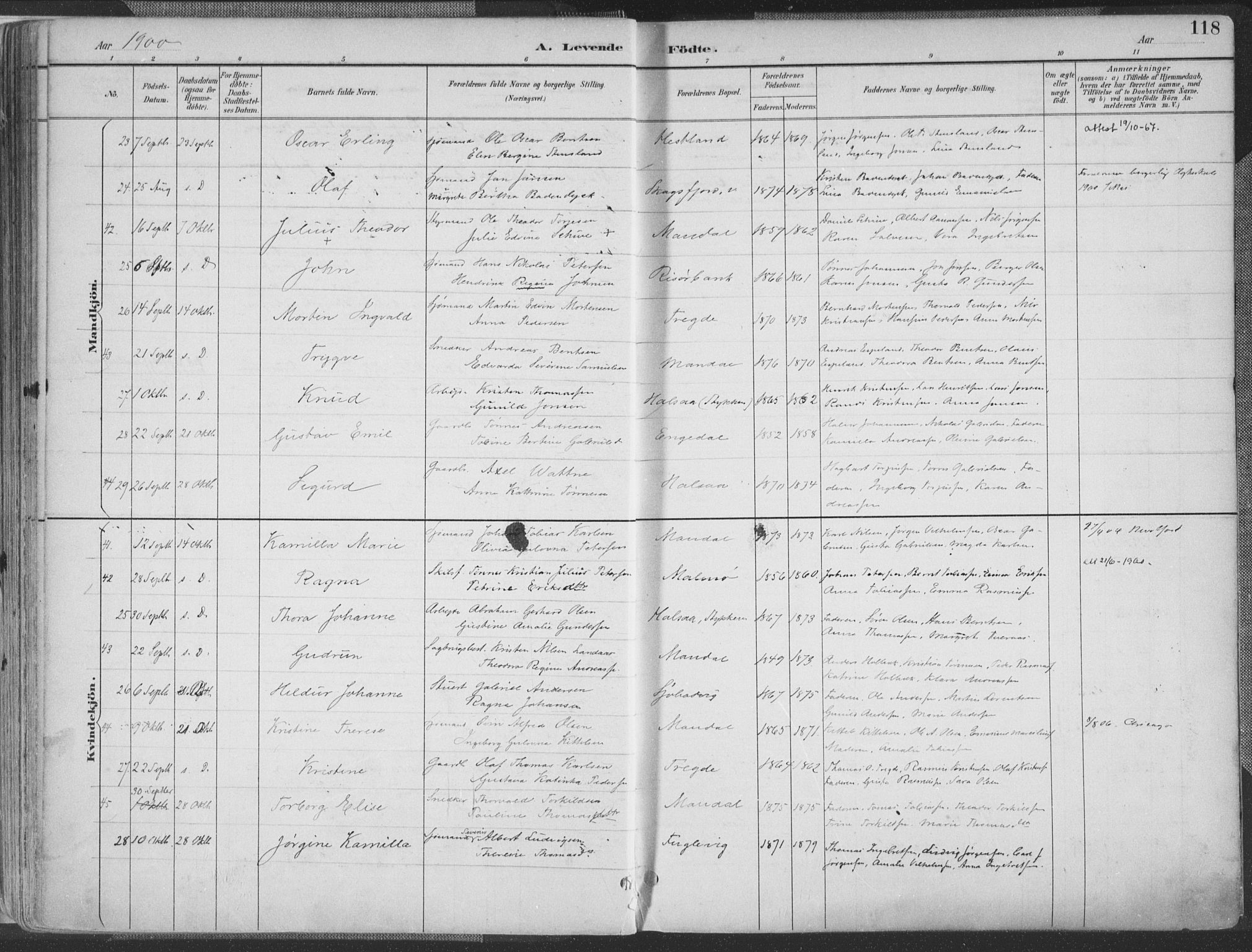 Mandal sokneprestkontor, AV/SAK-1111-0030/F/Fa/Faa/L0018: Parish register (official) no. A 18, 1890-1905, p. 118