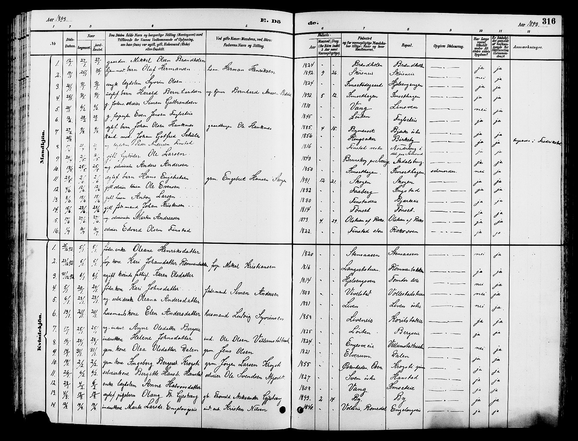Løten prestekontor, SAH/PREST-022/L/La/L0006: Parish register (copy) no. 6, 1892-1909, p. 316