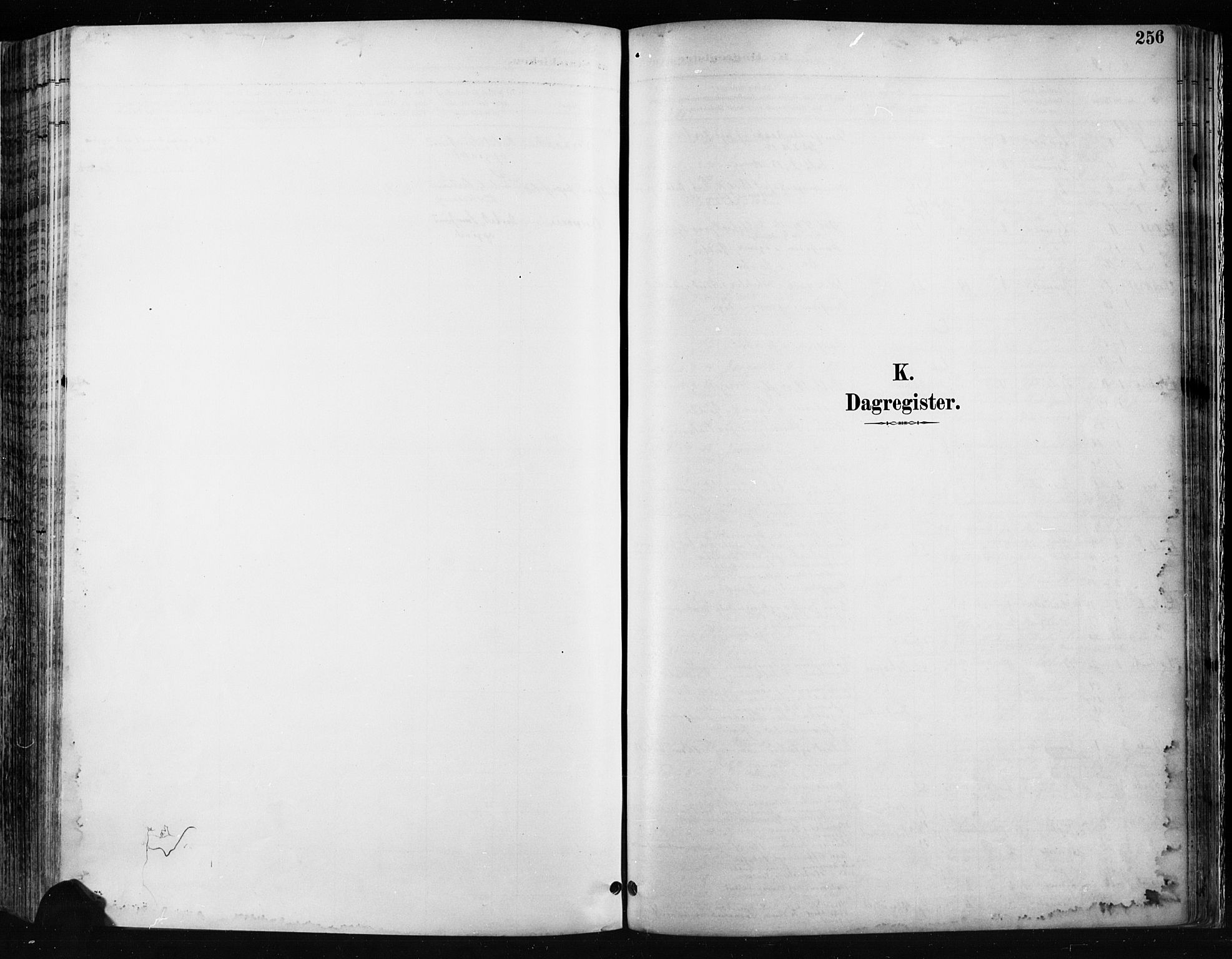 Jevnaker prestekontor, SAH/PREST-116/H/Ha/Haa/L0009: Parish register (official) no. 9, 1891-1901, p. 256