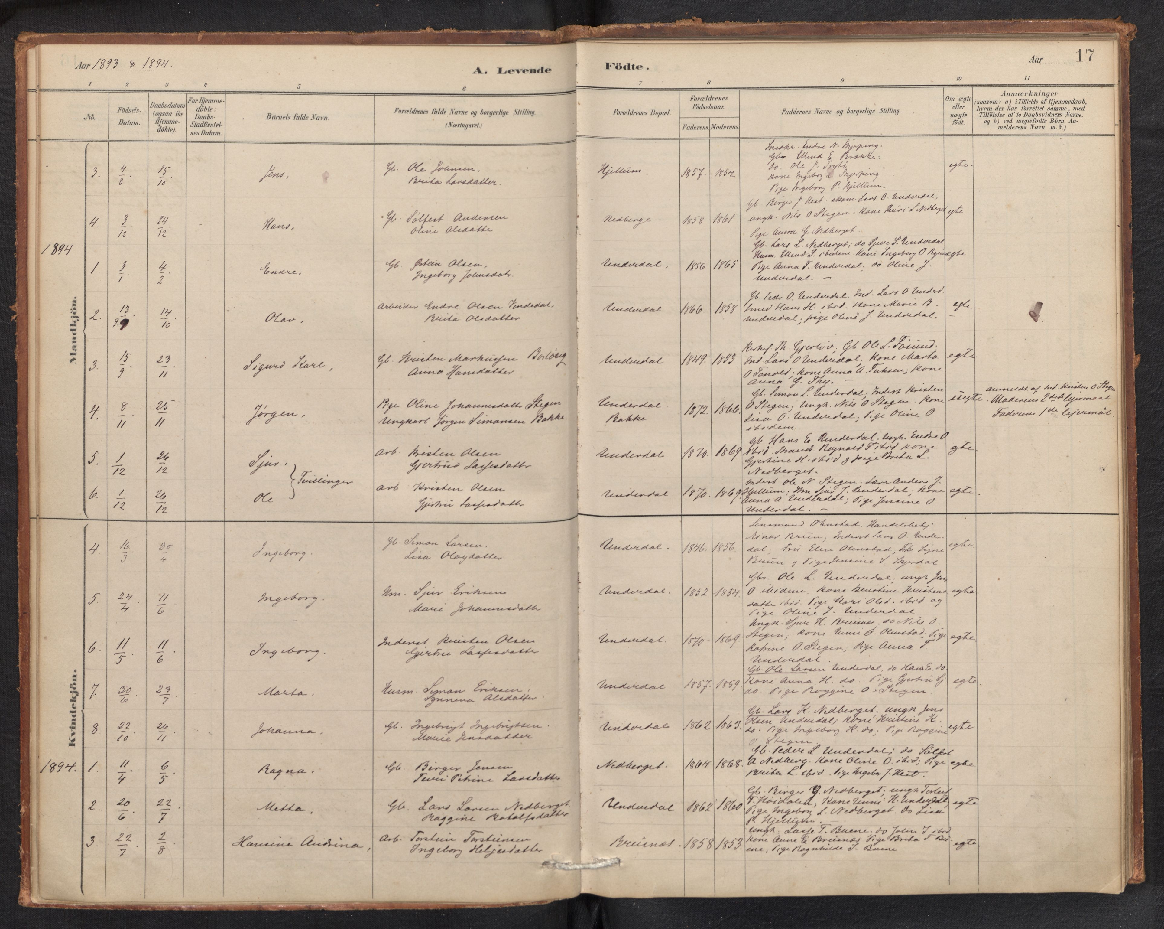 Aurland sokneprestembete, SAB/A-99937/H/Ha/Hae/L0001: Parish register (official) no. E 1, 1880-1907, p. 16b-17a