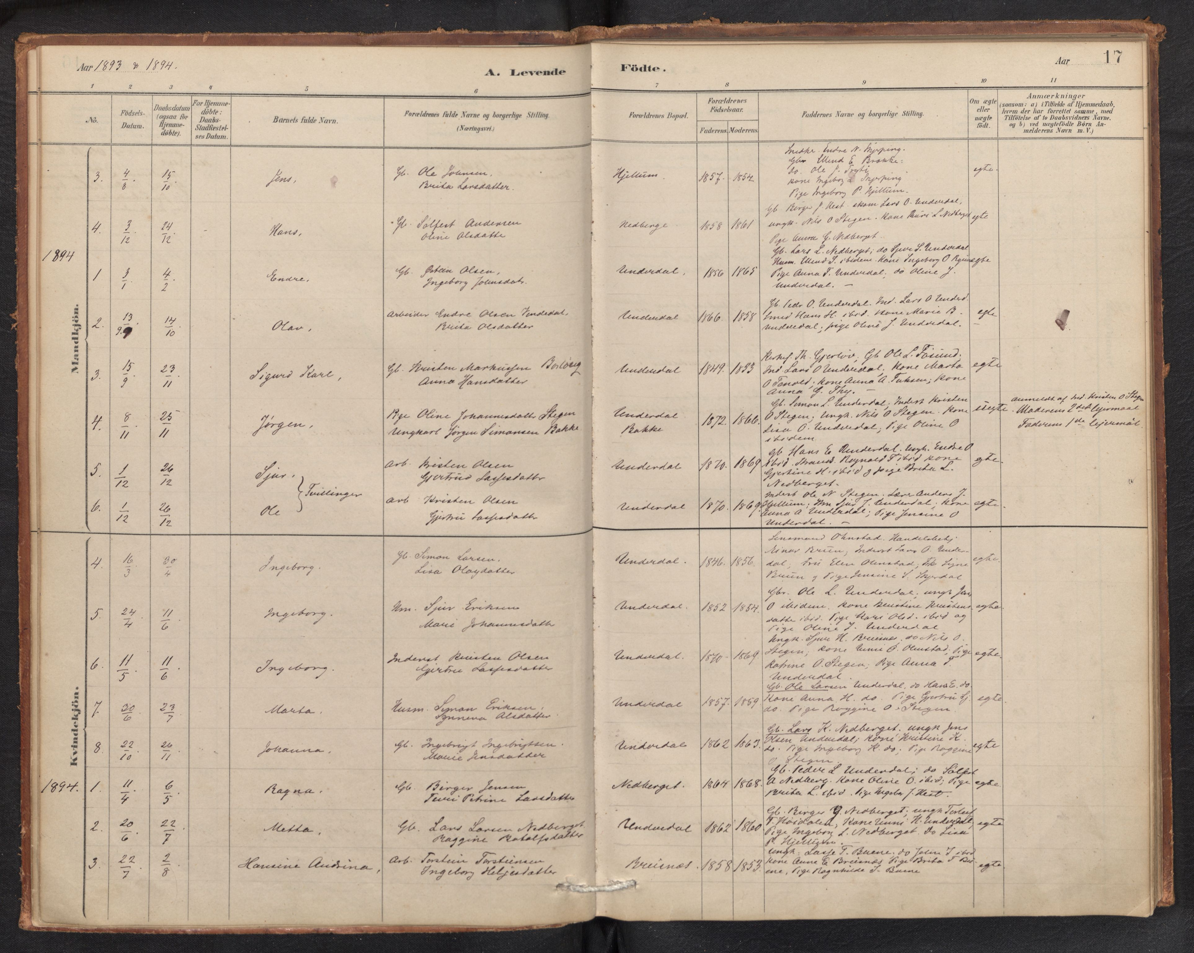 Aurland sokneprestembete, AV/SAB-A-99937/H/Ha/Hae/L0001: Parish register (official) no. E 1, 1880-1907, p. 16b-17a