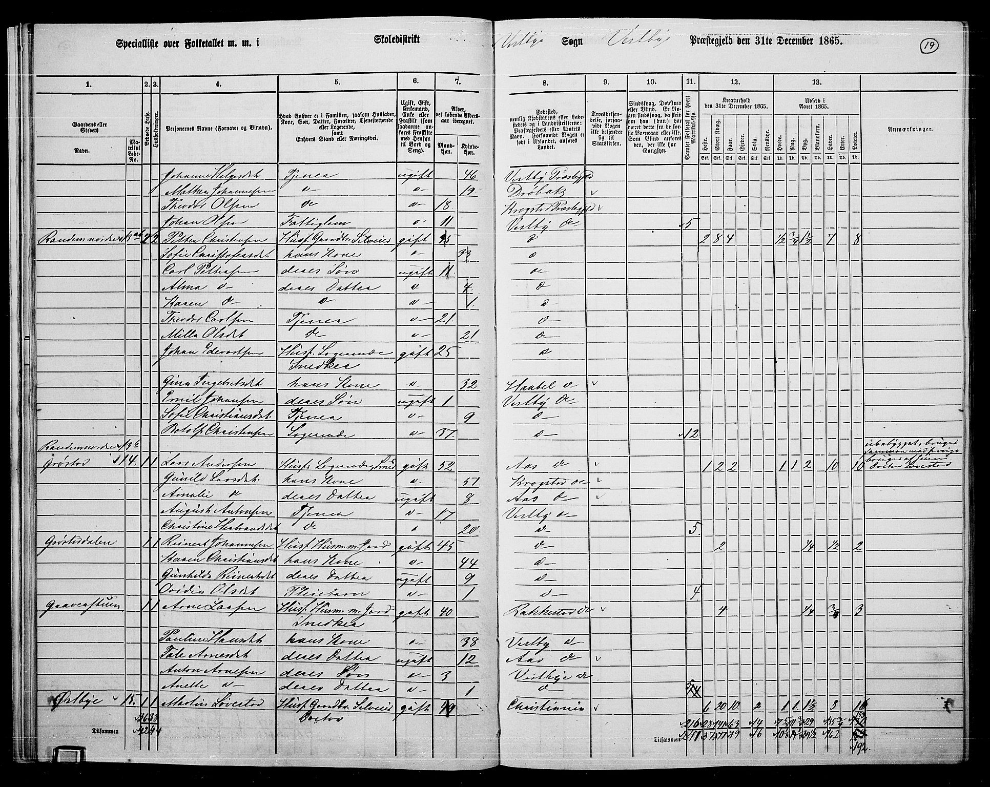 RA, 1865 census for Vestby, 1865, p. 18