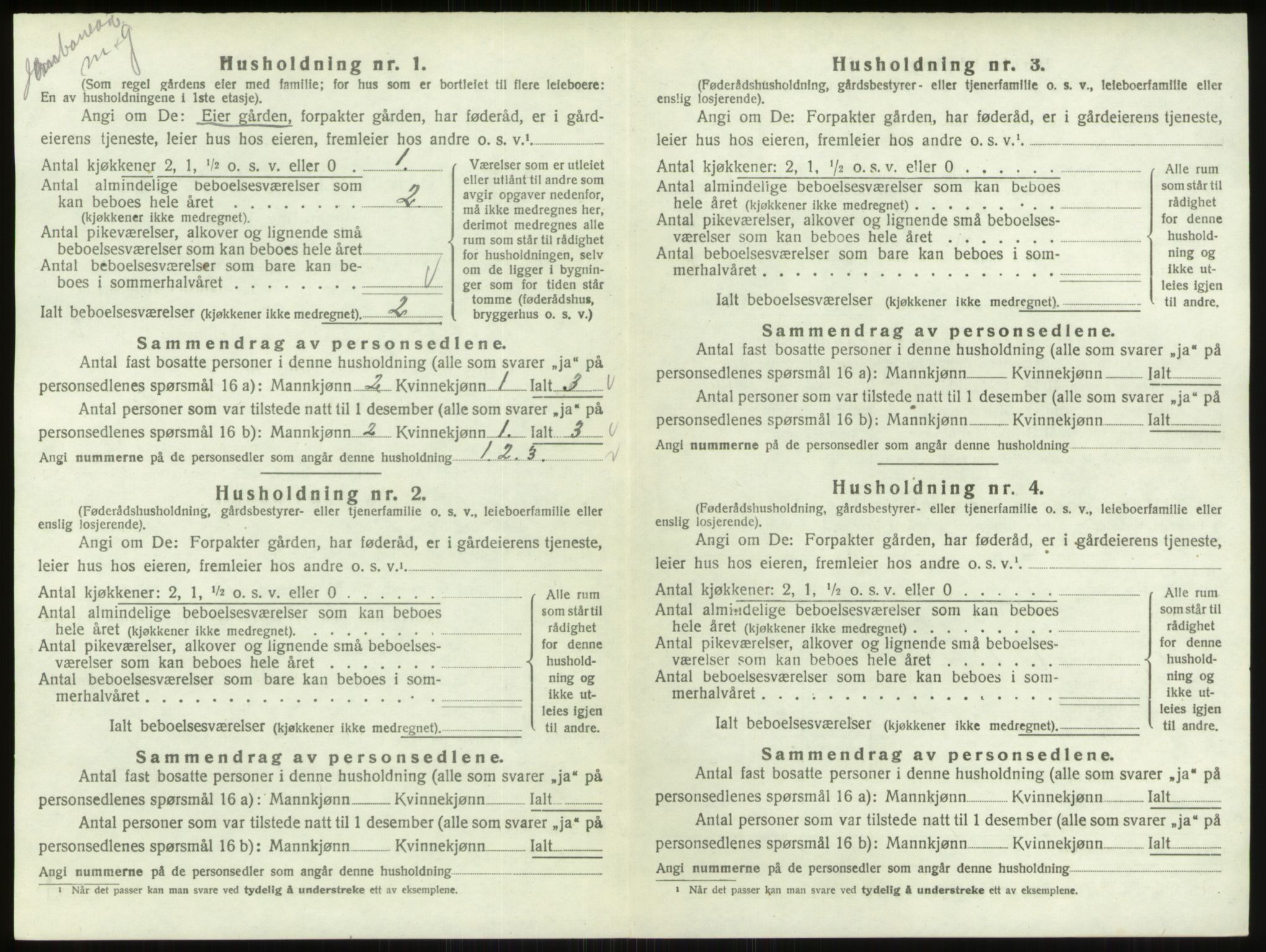 SAO, 1920 census for Varteig, 1920, p. 294