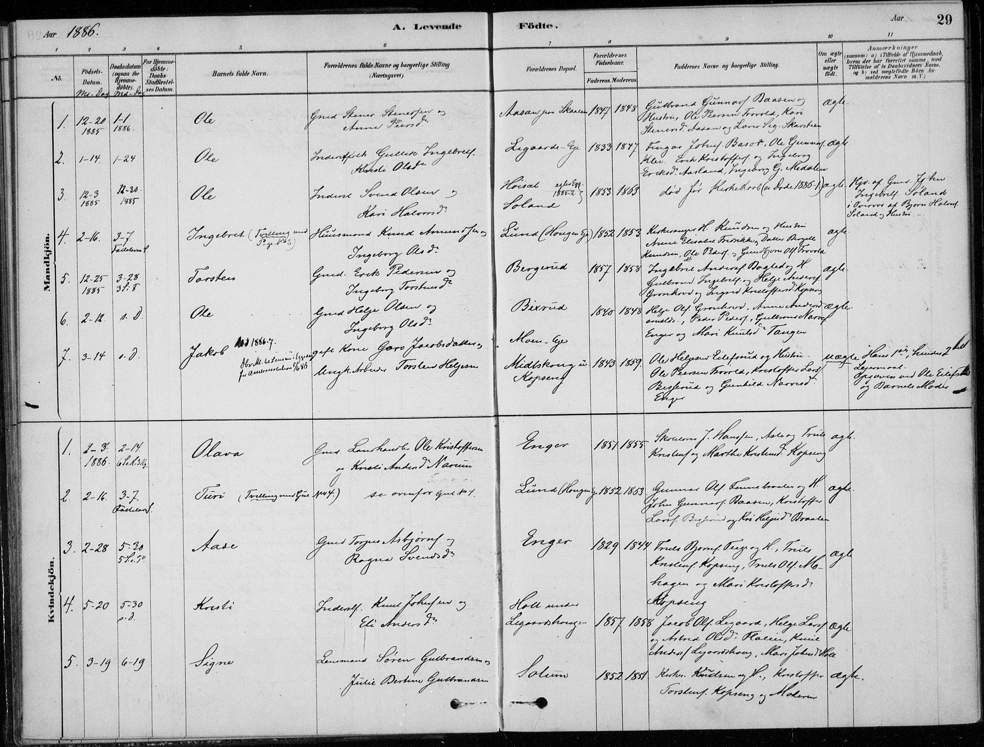 Sigdal kirkebøker, SAKO/A-245/F/Fc/L0001: Parish register (official) no. III 1, 1879-1893, p. 29