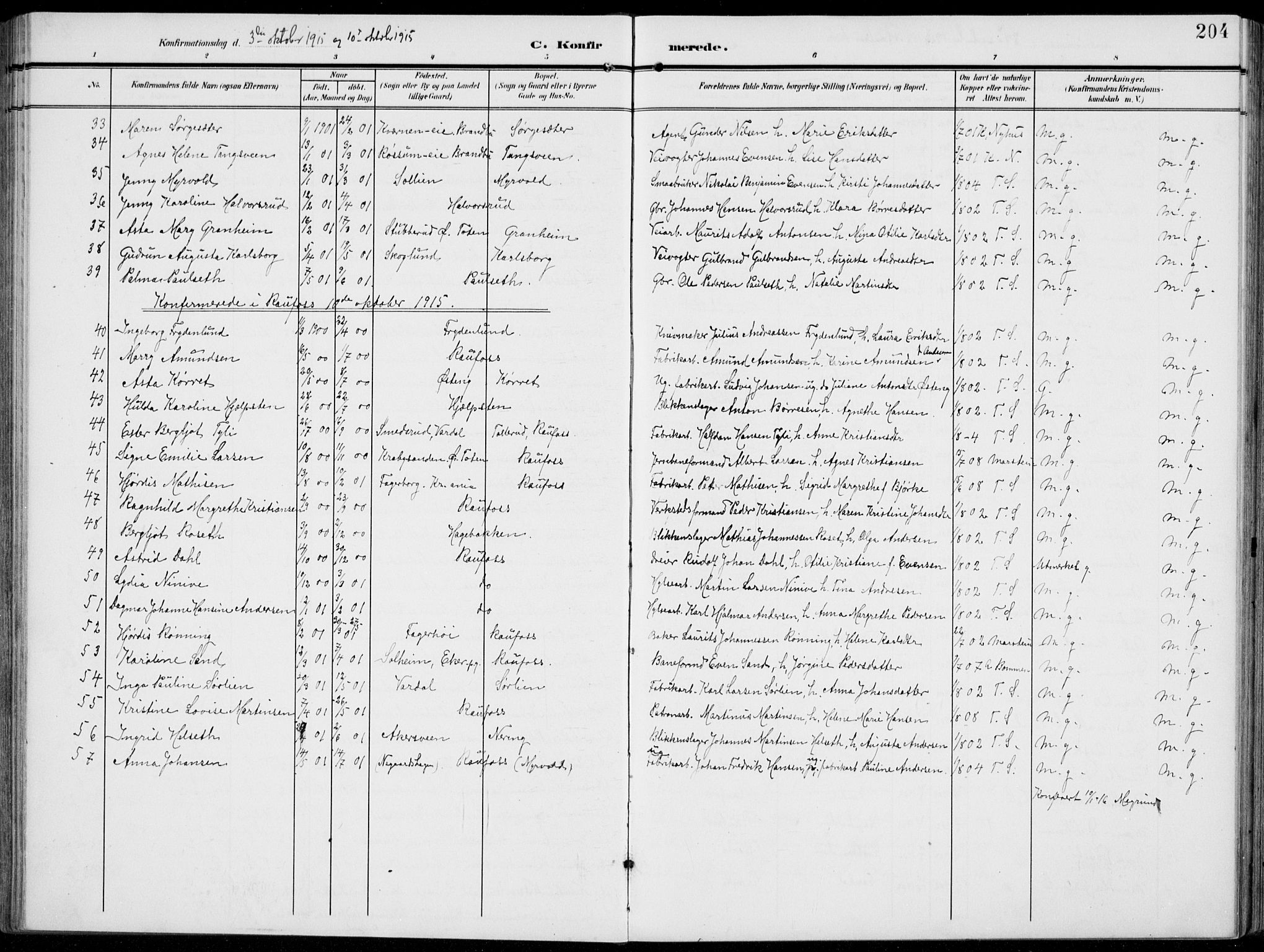 Vestre Toten prestekontor, AV/SAH-PREST-108/H/Ha/Haa/L0014: Parish register (official) no. 14, 1907-1920, p. 204