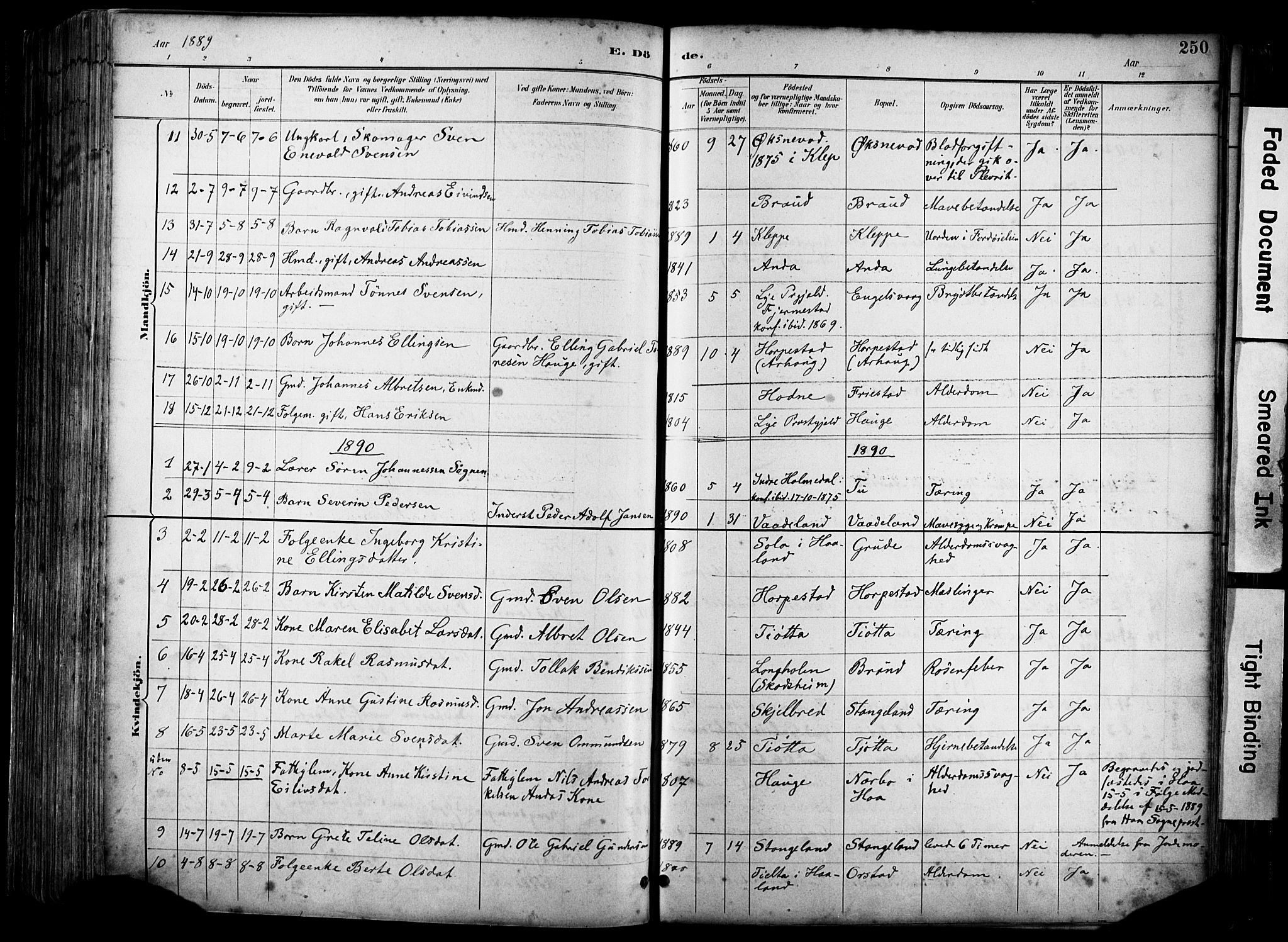 Klepp sokneprestkontor, SAST/A-101803/001/3/30BA/L0009: Parish register (official) no. A 7, 1886-1915, p. 250
