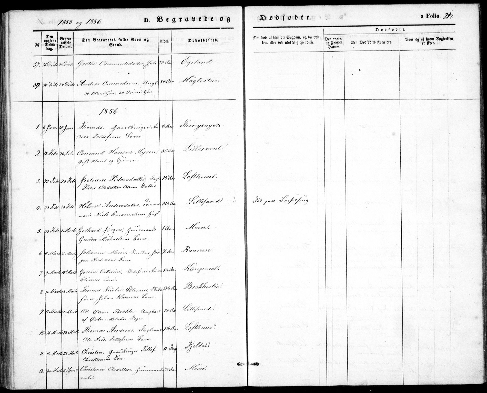 Vestre Moland sokneprestkontor, AV/SAK-1111-0046/F/Fb/Fbb/L0003: Parish register (copy) no. B 3, 1851-1861, p. 217