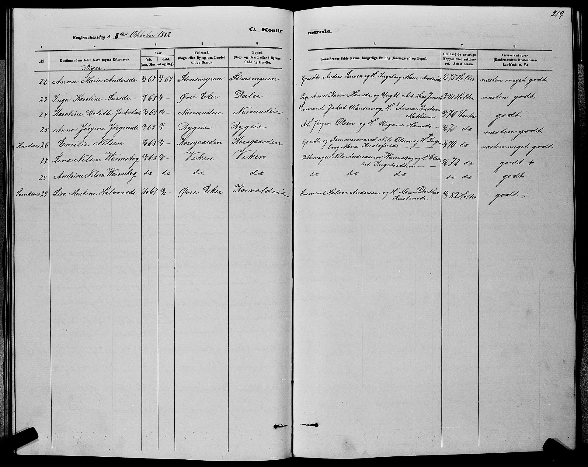 Nedre Eiker kirkebøker, AV/SAKO-A-612/G/Ga/L0002: Parish register (copy) no. 2, 1880-1896, p. 219