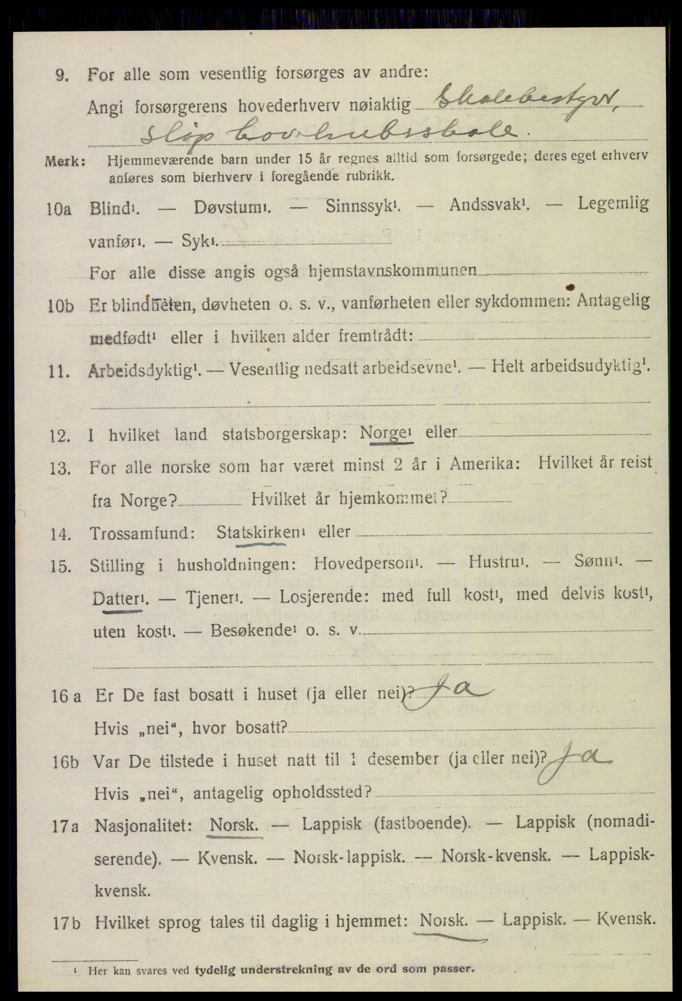 SAT, 1920 census for Skogn, 1920, p. 1290