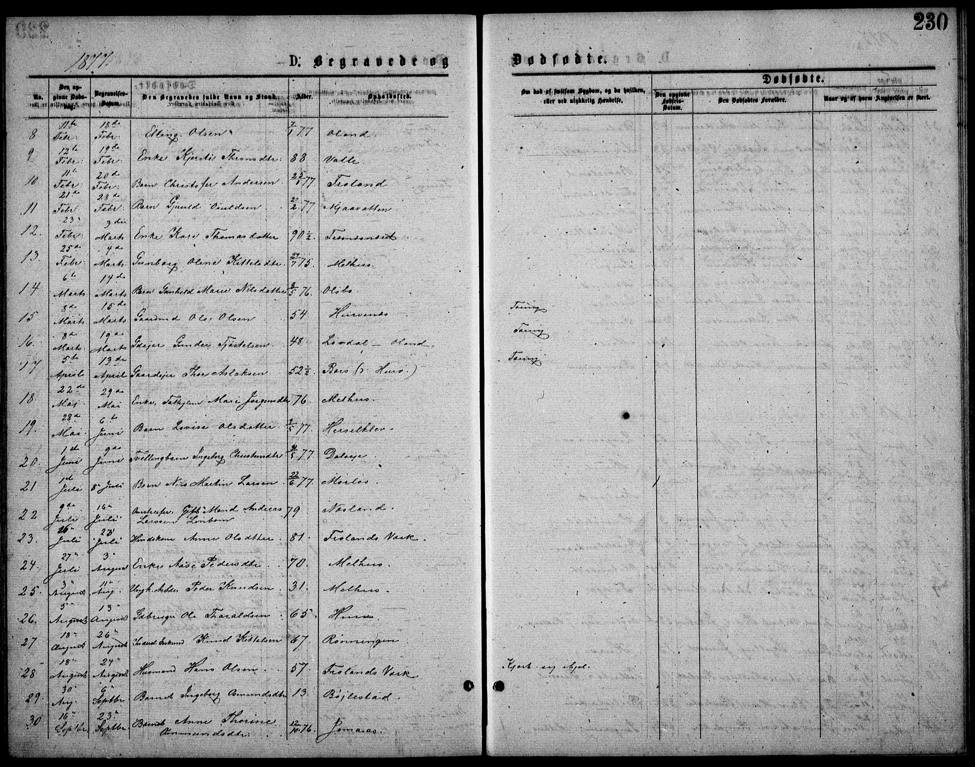 Froland sokneprestkontor, SAK/1111-0013/F/Fb/L0009: Parish register (copy) no. B 9, 1875-1893, p. 230
