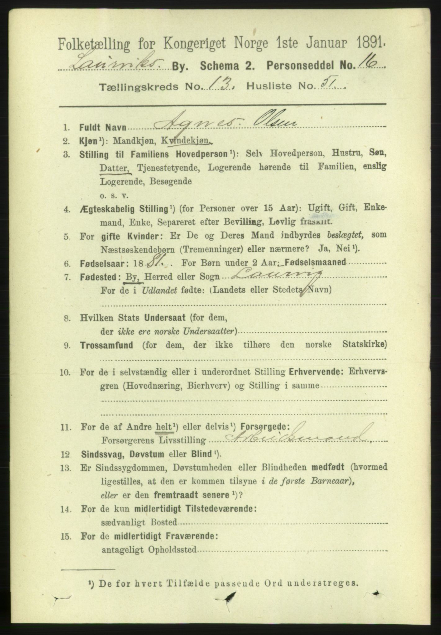 RA, 1891 census for 0707 Larvik, 1891, p. 10918