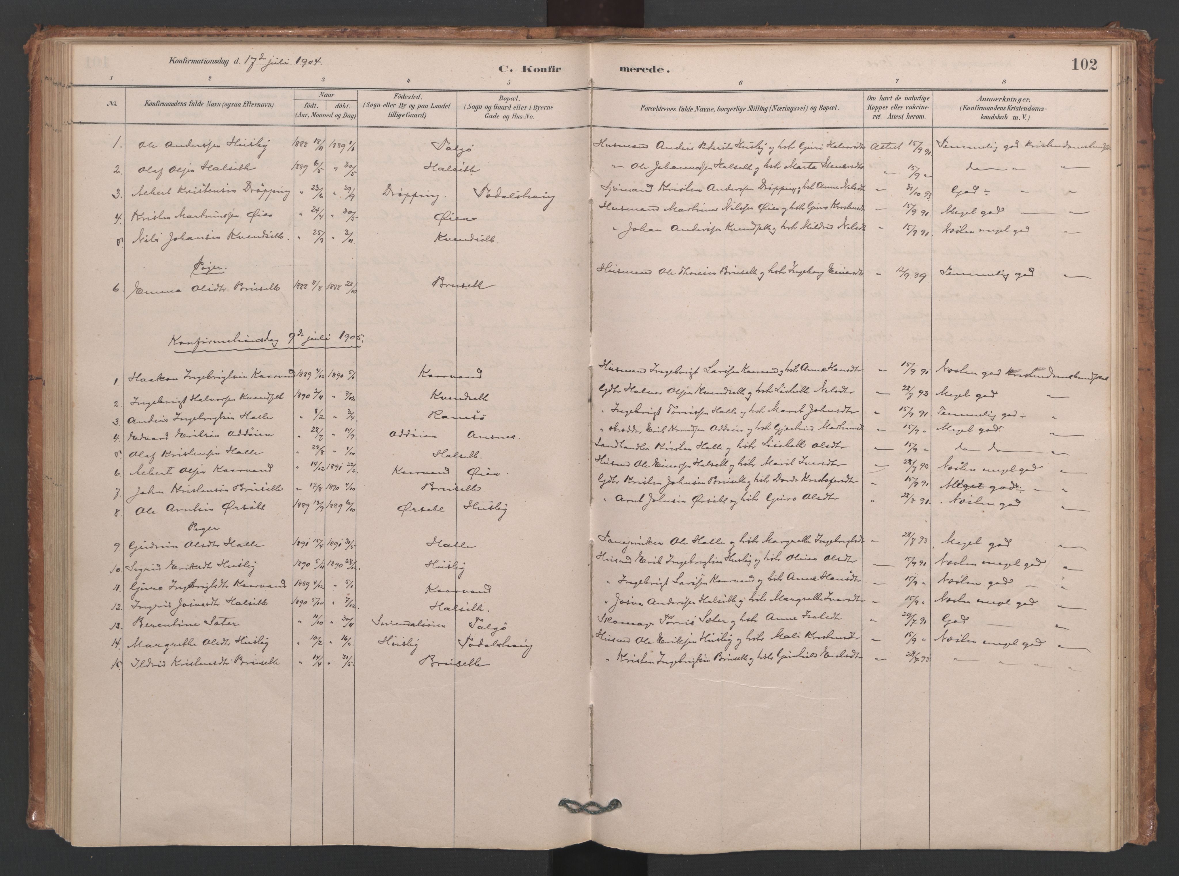 Ministerialprotokoller, klokkerbøker og fødselsregistre - Møre og Romsdal, SAT/A-1454/593/L1034: Parish register (official) no. 593A01, 1879-1911, p. 102