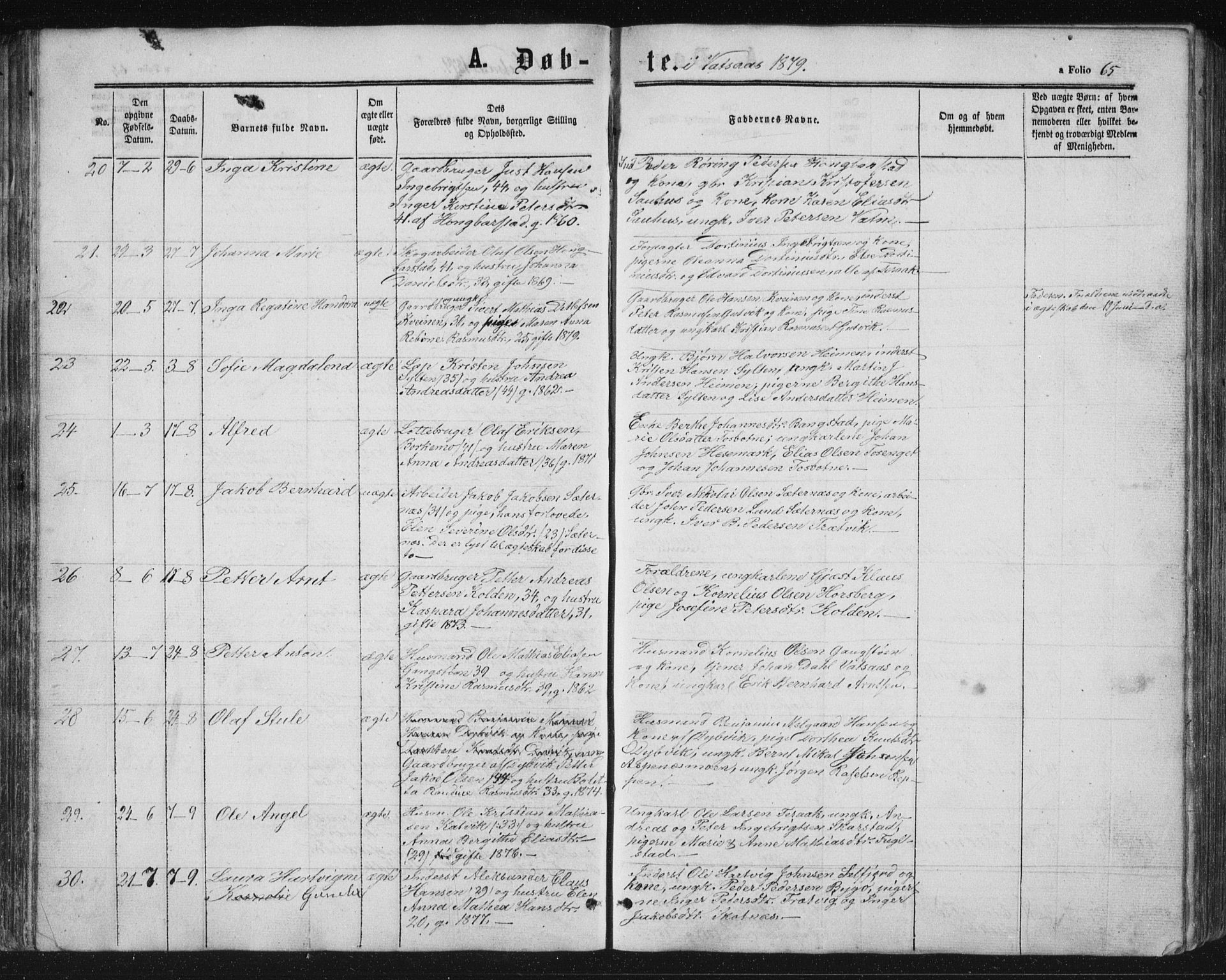 Ministerialprotokoller, klokkerbøker og fødselsregistre - Nordland, AV/SAT-A-1459/810/L0158: Parish register (copy) no. 810C02 /1, 1863-1883, p. 65