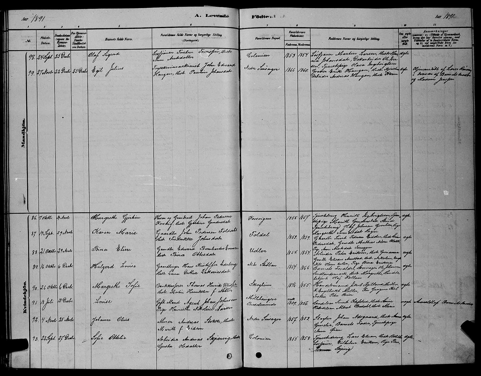 Ministerialprotokoller, klokkerbøker og fødselsregistre - Sør-Trøndelag, SAT/A-1456/606/L0312: Parish register (copy) no. 606C08, 1878-1894