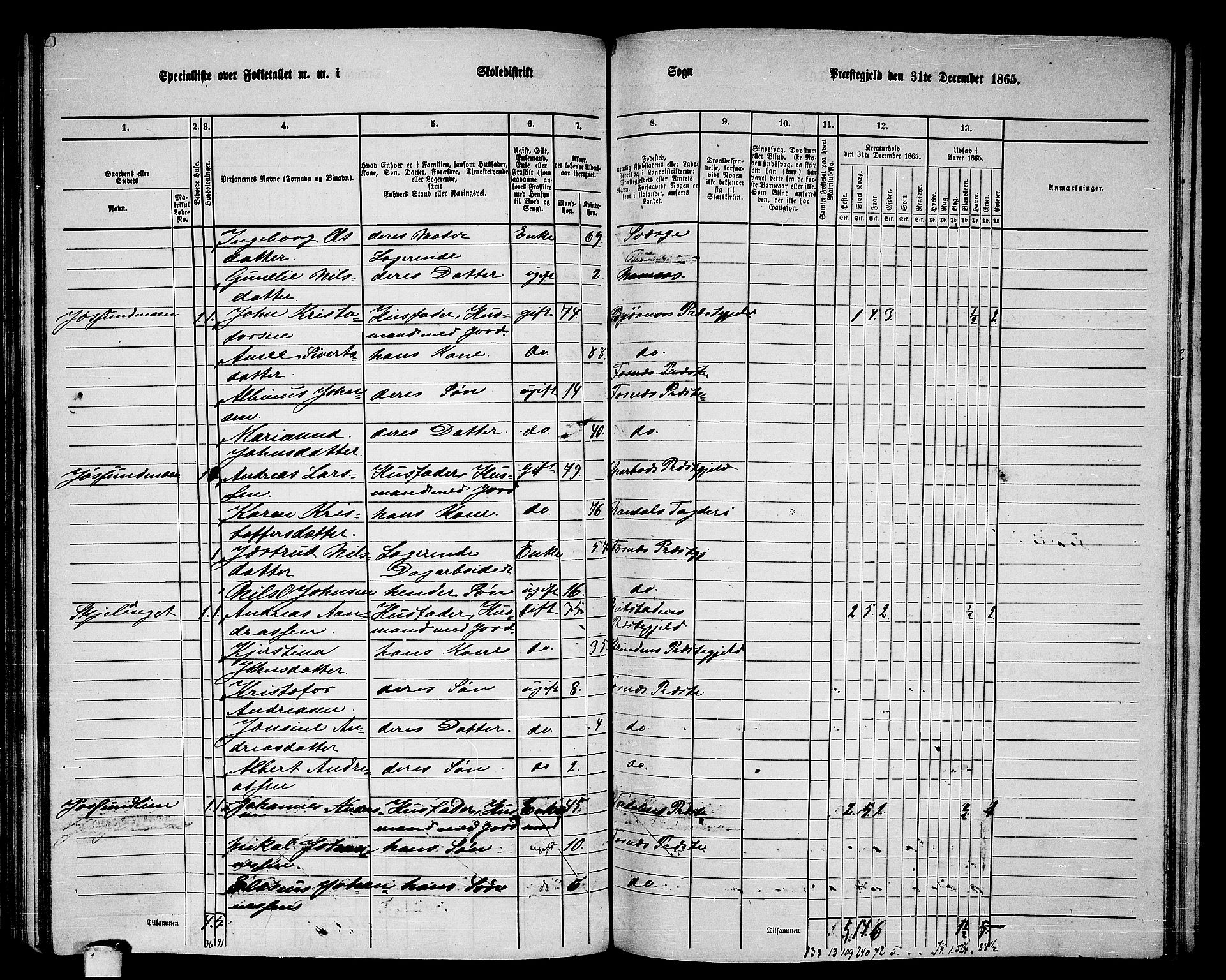 RA, 1865 census for Fosnes, 1865, p. 114