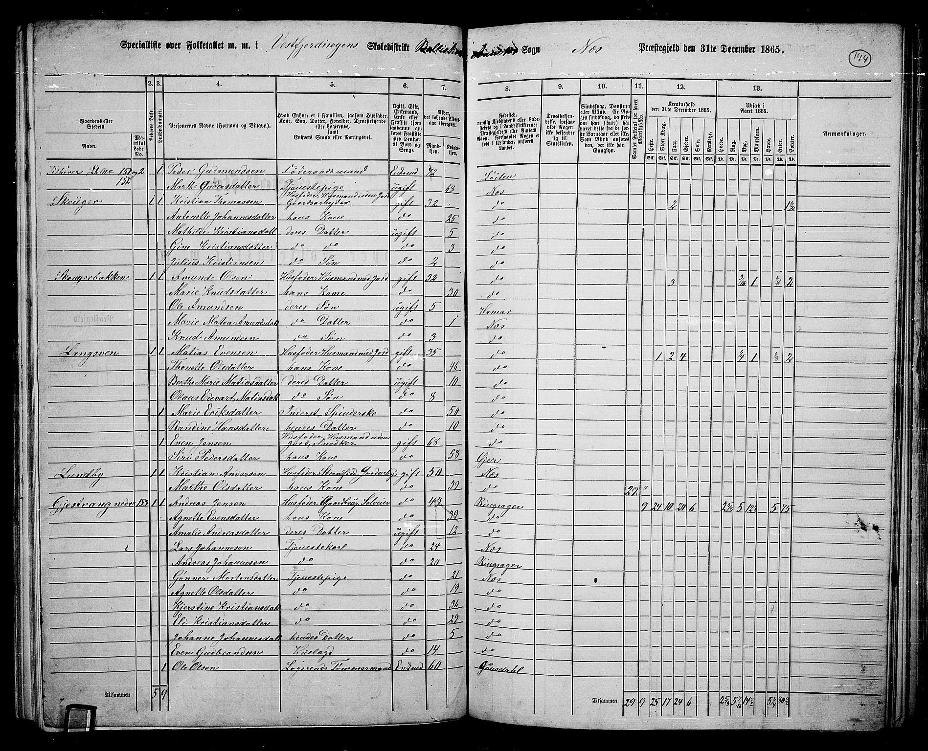 RA, 1865 census for Nes, 1865, p. 124