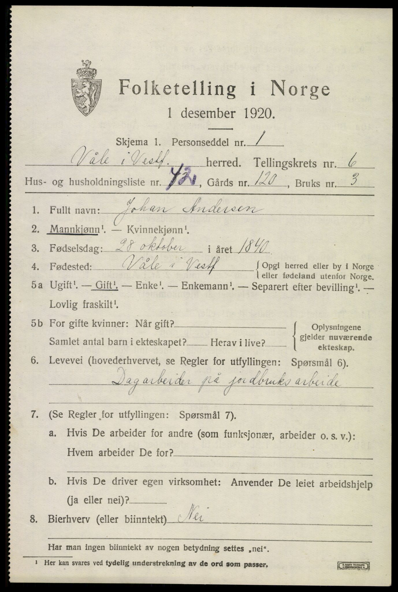 SAKO, 1920 census for Våle, 1920, p. 5394