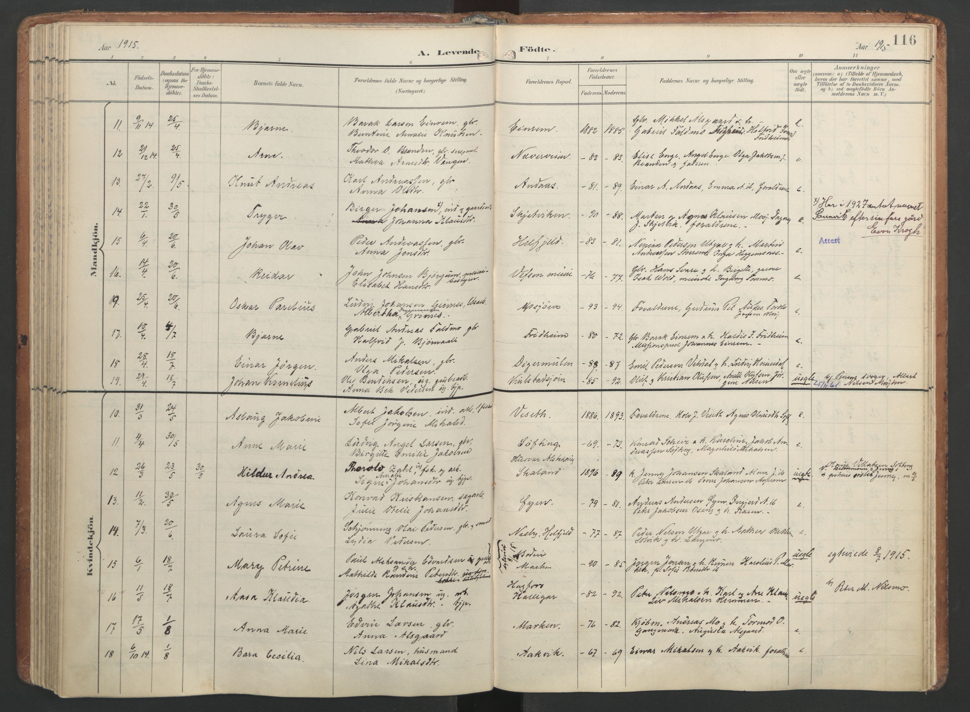 Ministerialprotokoller, klokkerbøker og fødselsregistre - Nordland, AV/SAT-A-1459/820/L0297: Parish register (official) no. 820A18, 1897-1917, p. 116