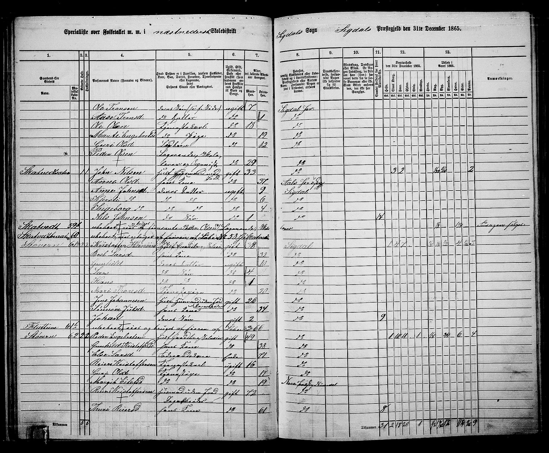 RA, 1865 census for Sigdal, 1865, p. 49