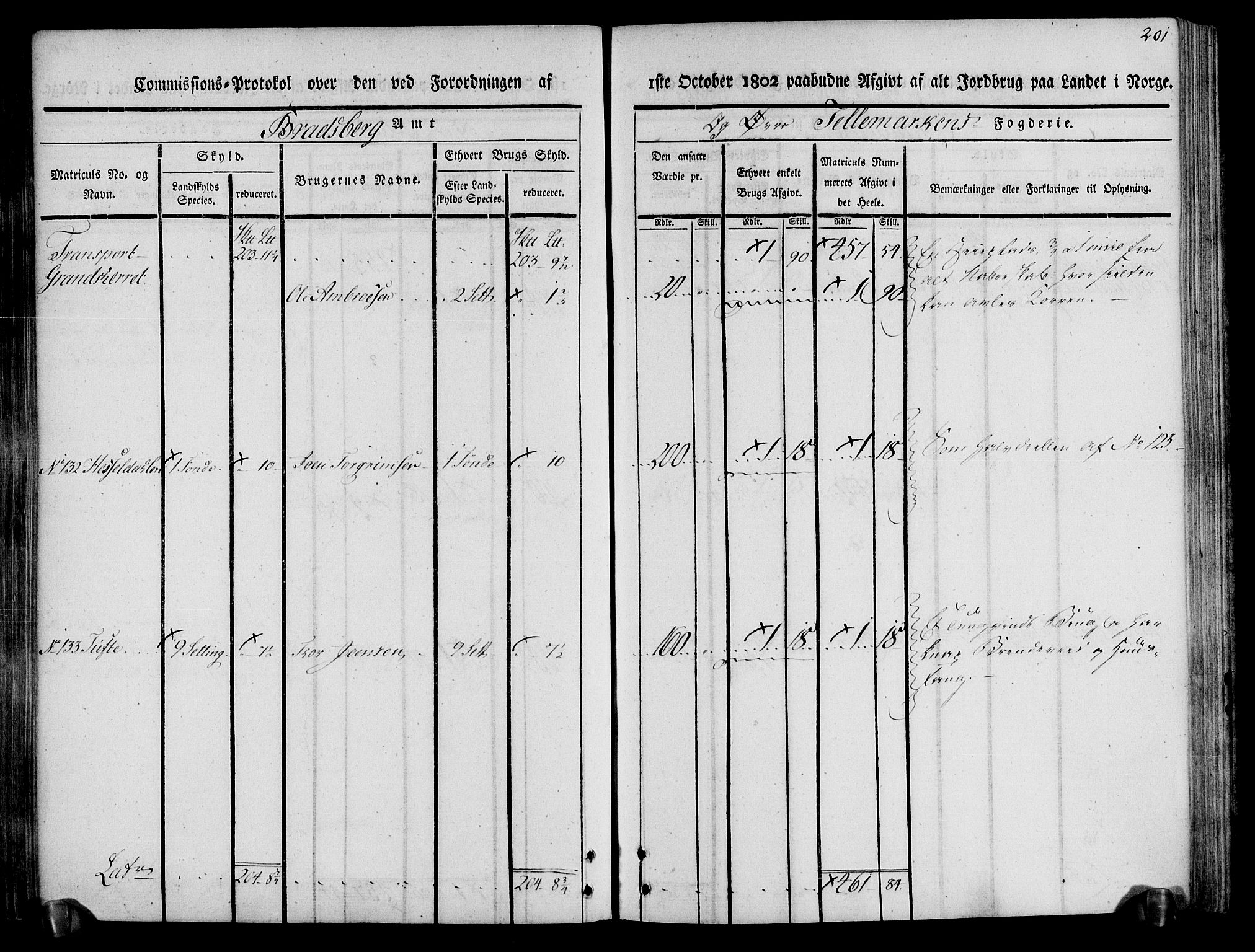 Rentekammeret inntil 1814, Realistisk ordnet avdeling, AV/RA-EA-4070/N/Ne/Nea/L0074: Øvre Telemarken fogderi. Kommisjonsprotokoll for fogderiets østre del - Tinn, Hjartdal og Seljord prestegjeld., 1803, p. 201