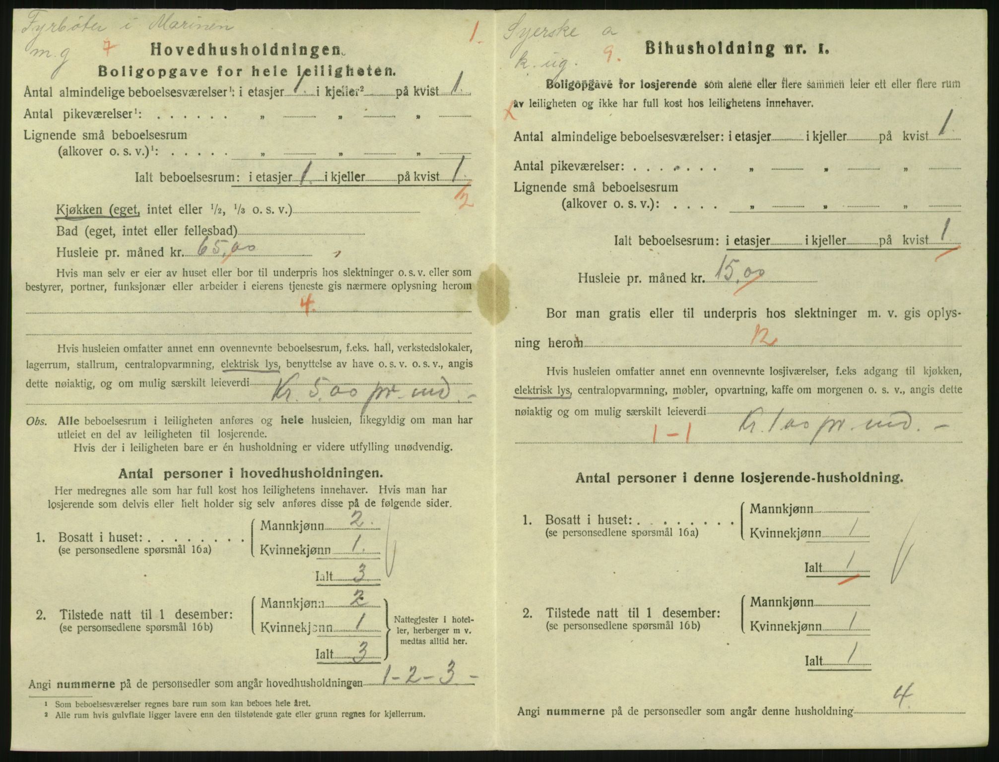 SAKO, 1920 census for Horten, 1920, p. 4756