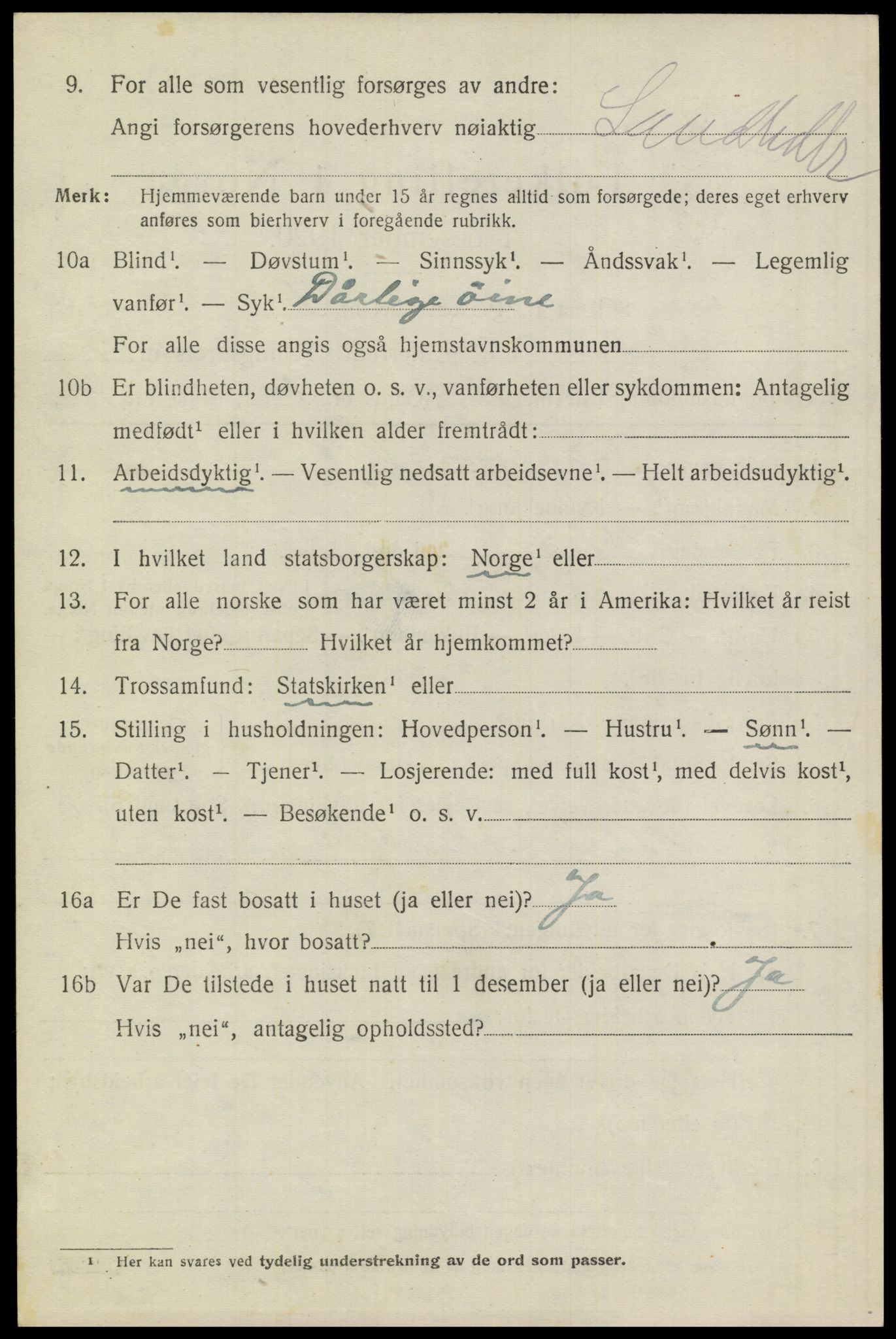 SAKO, 1920 census for Heddal, 1920, p. 4563