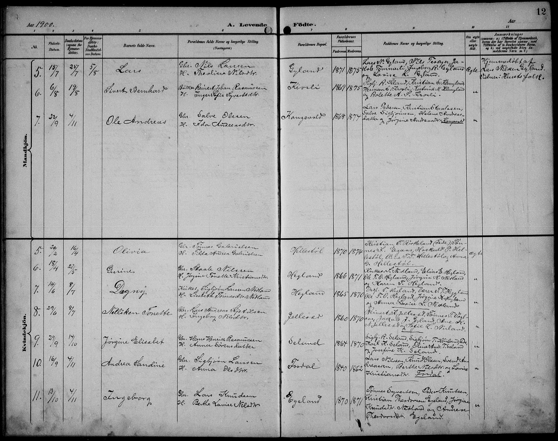 Bakke sokneprestkontor, AV/SAK-1111-0002/F/Fb/Fbb/L0004: Parish register (copy) no. B 4, 1896-1927, p. 12