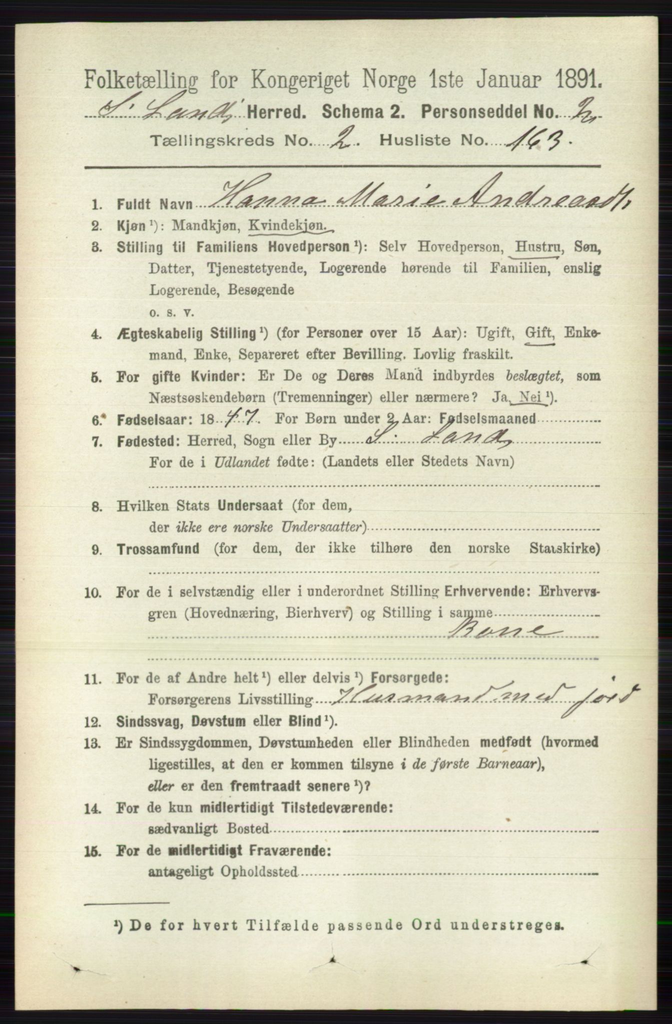 RA, 1891 census for 0536 Søndre Land, 1891, p. 2025