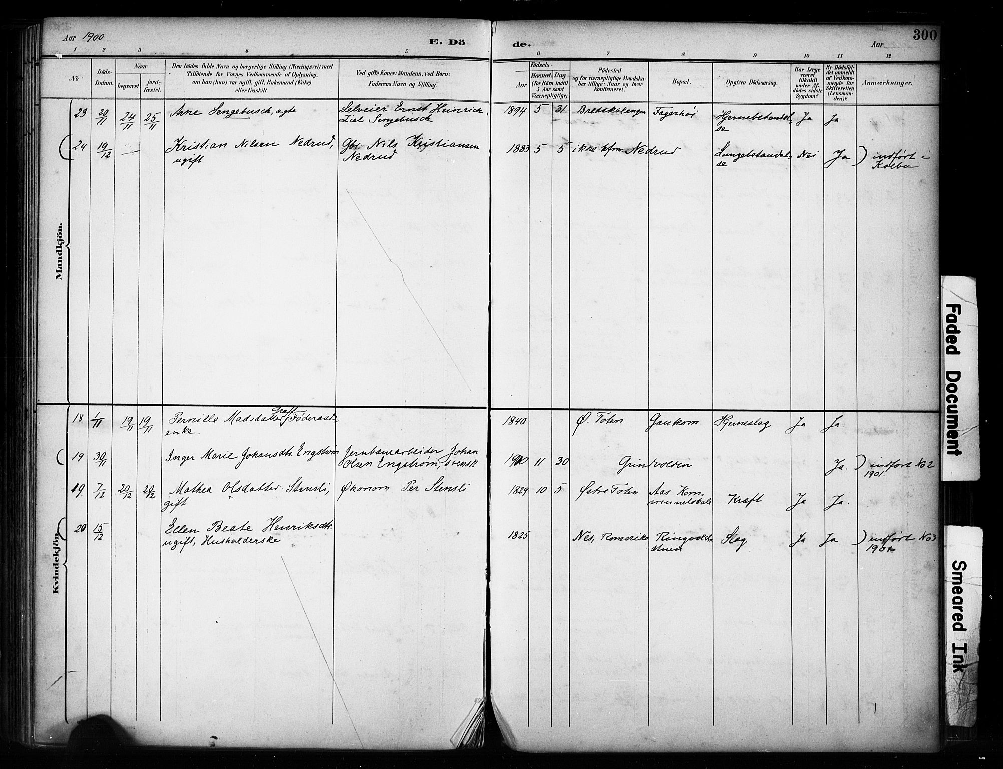 Vestre Toten prestekontor, SAH/PREST-108/H/Ha/Haa/L0011: Parish register (official) no. 11, 1895-1906, p. 300
