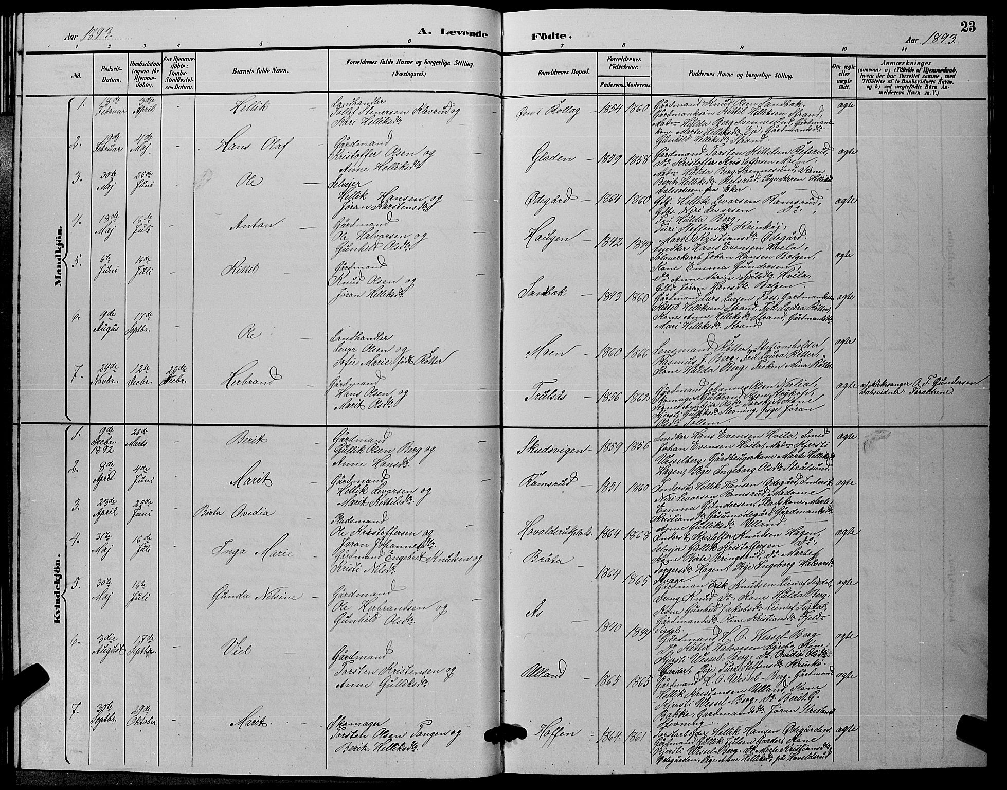 Flesberg kirkebøker, SAKO/A-18/G/Ga/L0004: Parish register (copy) no. I 4 /2, 1890-1898, p. 23
