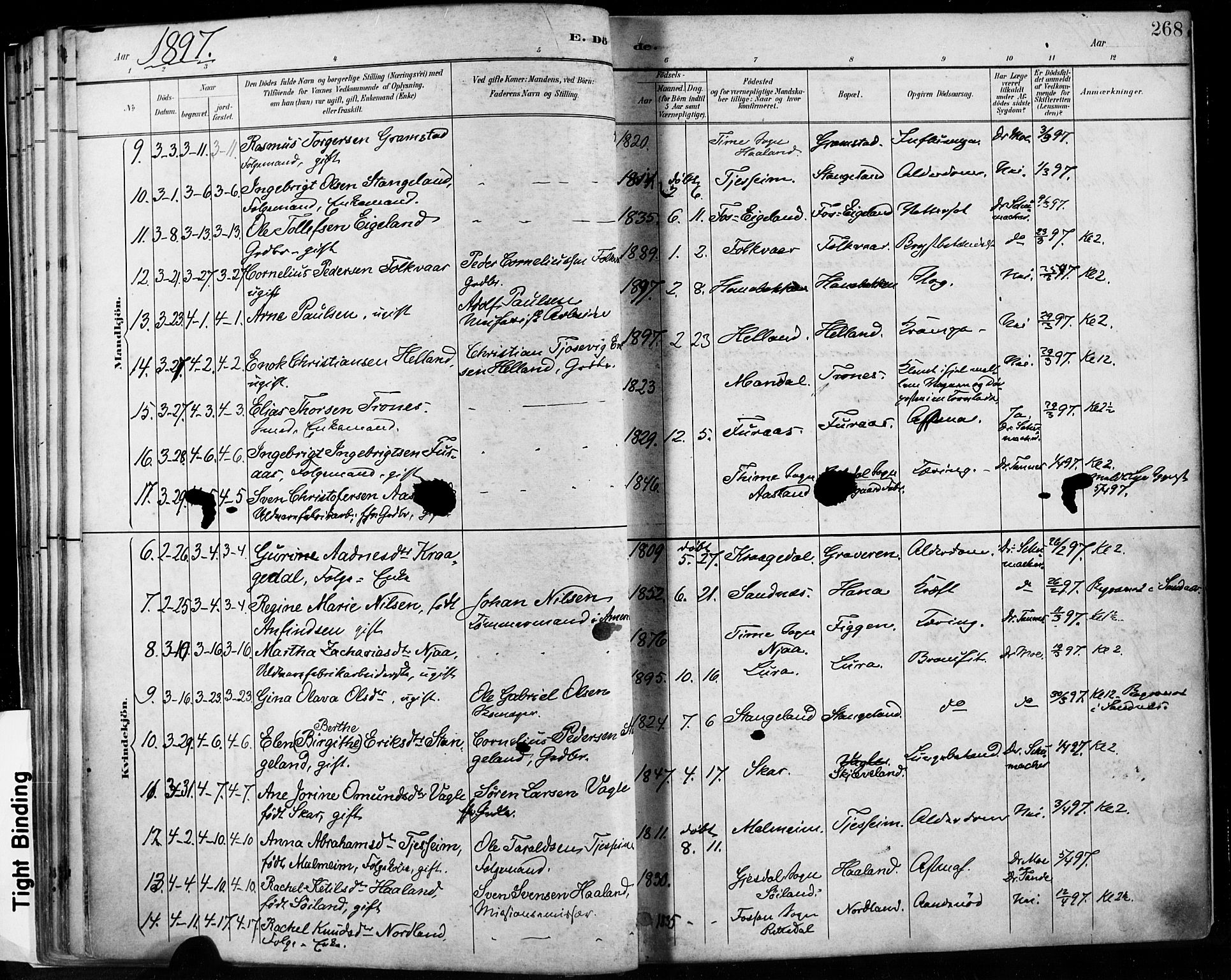 Høyland sokneprestkontor, SAST/A-101799/001/30BA/L0013: Parish register (official) no. A 13.2, 1889-1898, p. 268